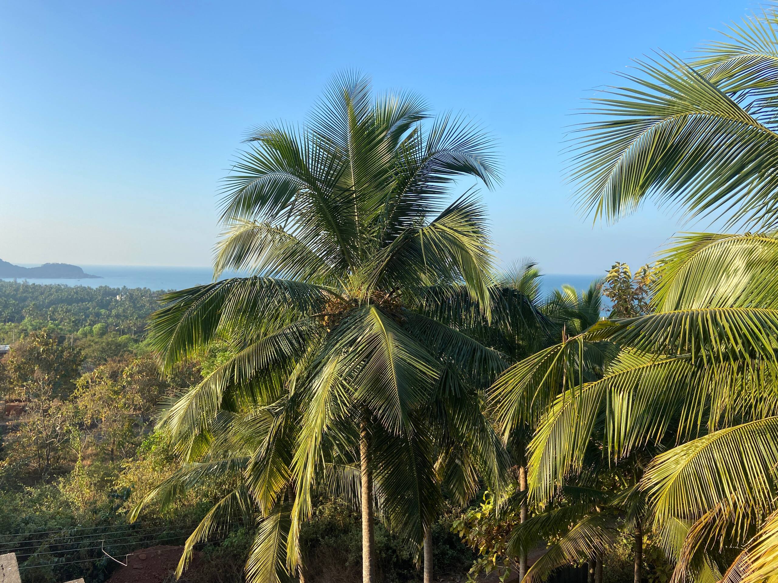 HoneyBee 1BHK Agonda Beach South Goa 20