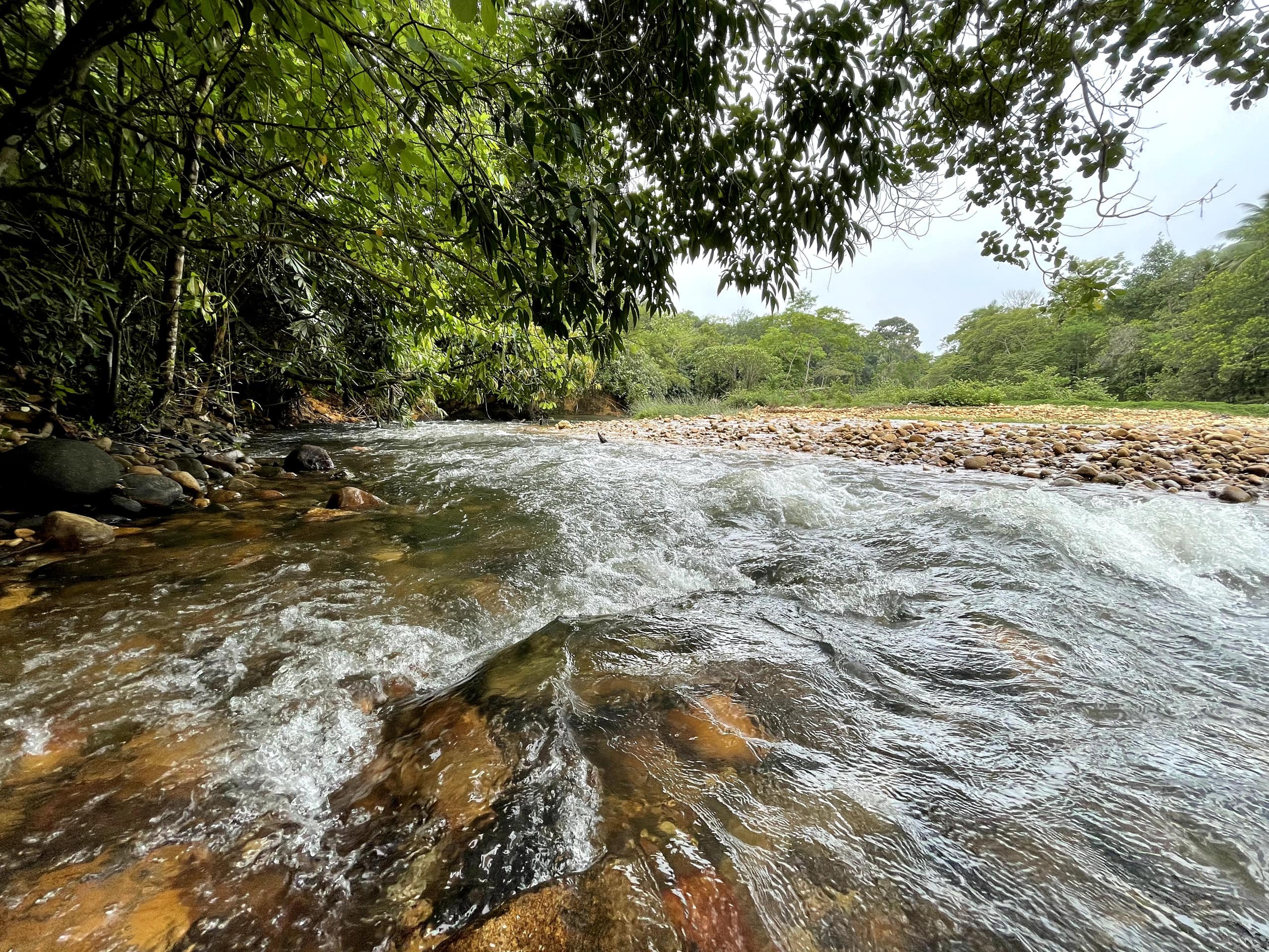 'Ritu'- Riverside Retreat 5