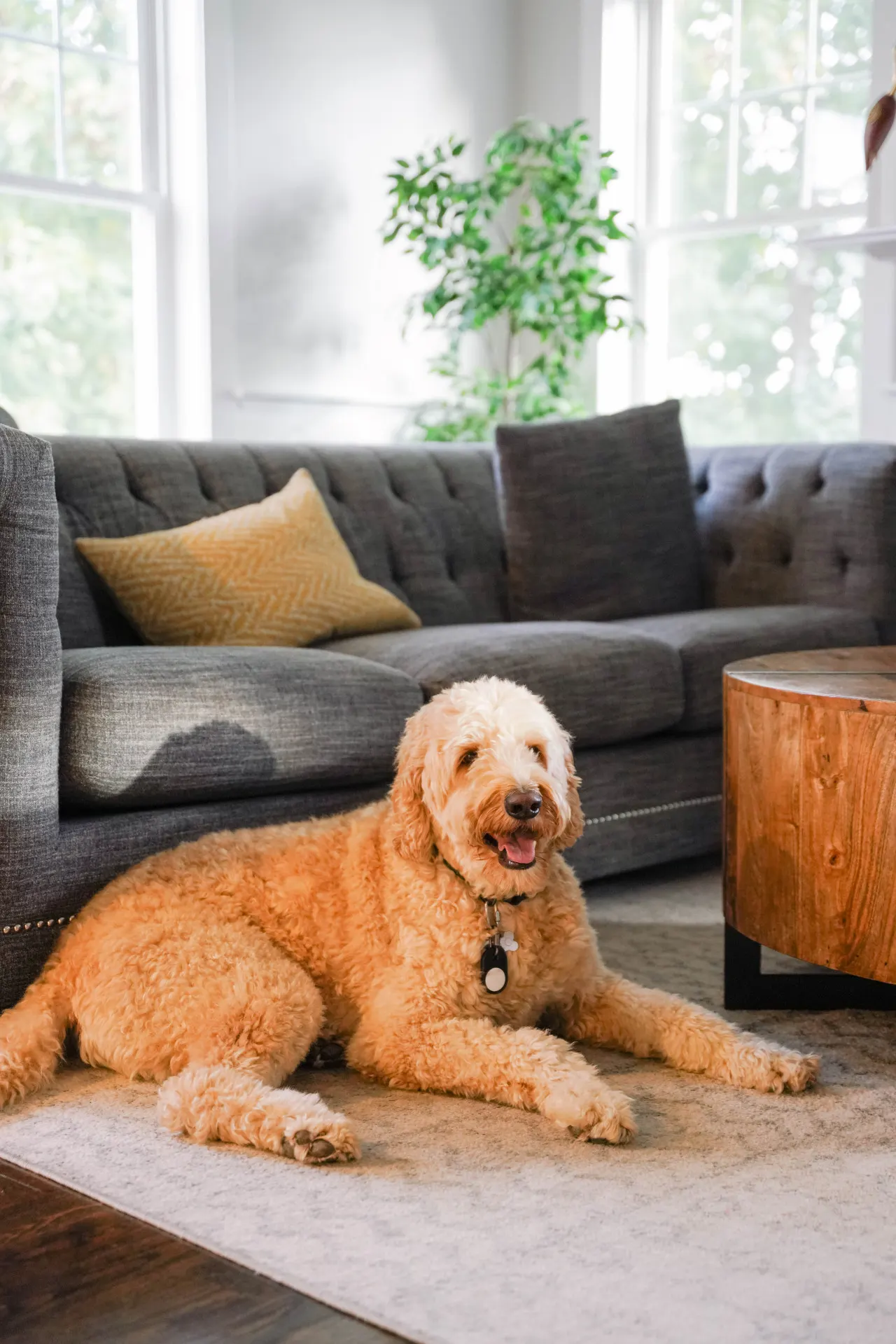 Ultra-Luxurious Home near Boston (Pet-Friendly) 14