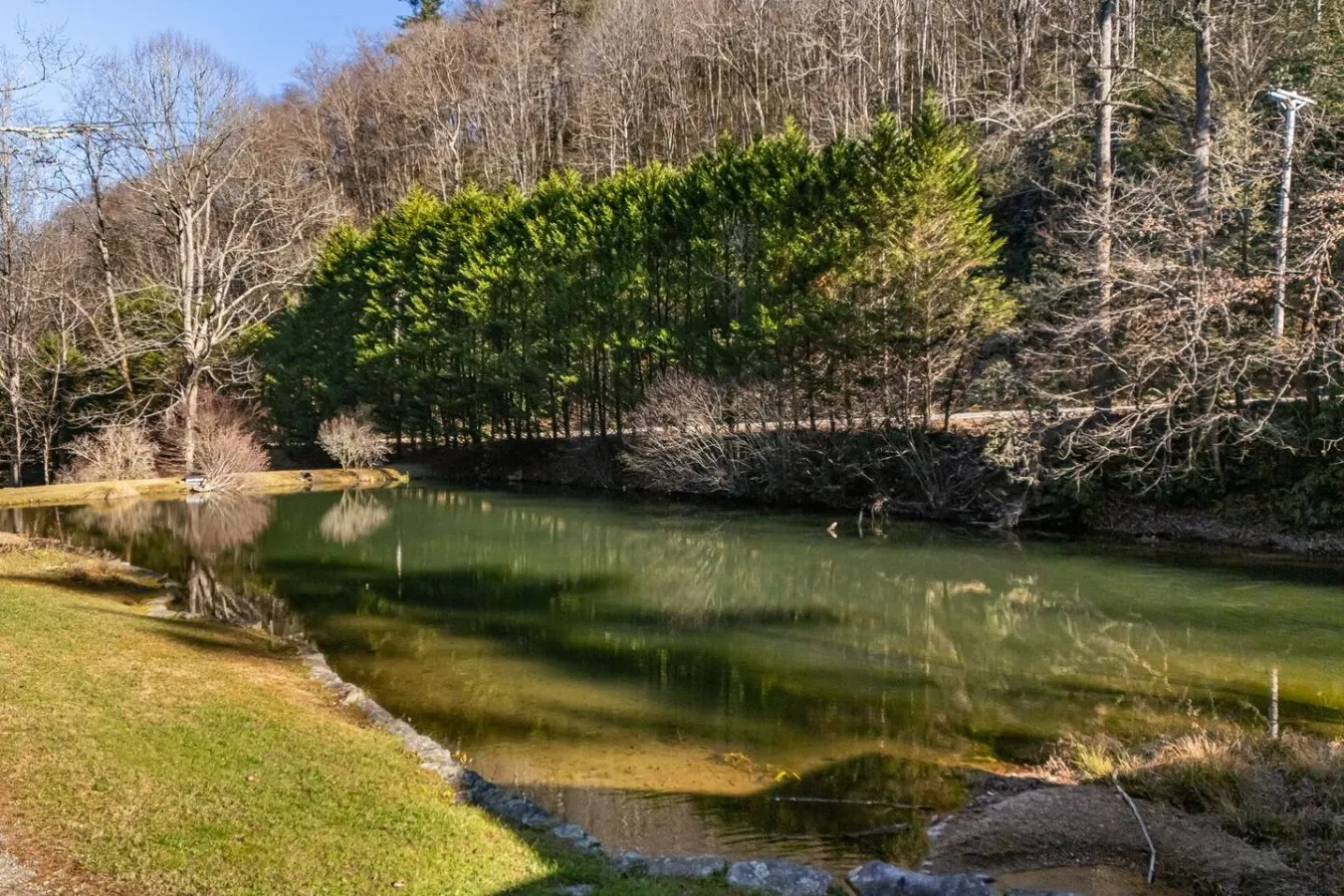 Peaceful Nature Retreat on 66 Acres | Pond, Trails — photo 2