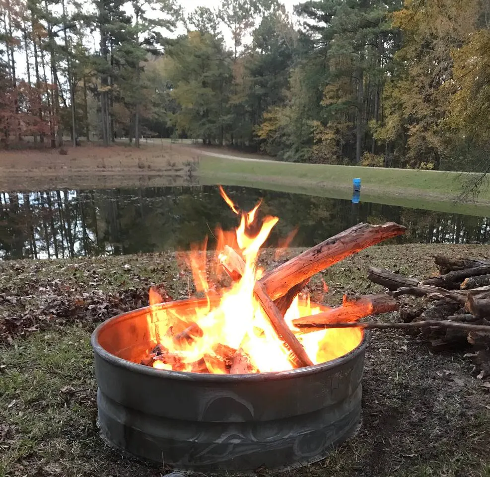 Cabin Between Atlanta & Augusta - 50 Wooded Acres 4