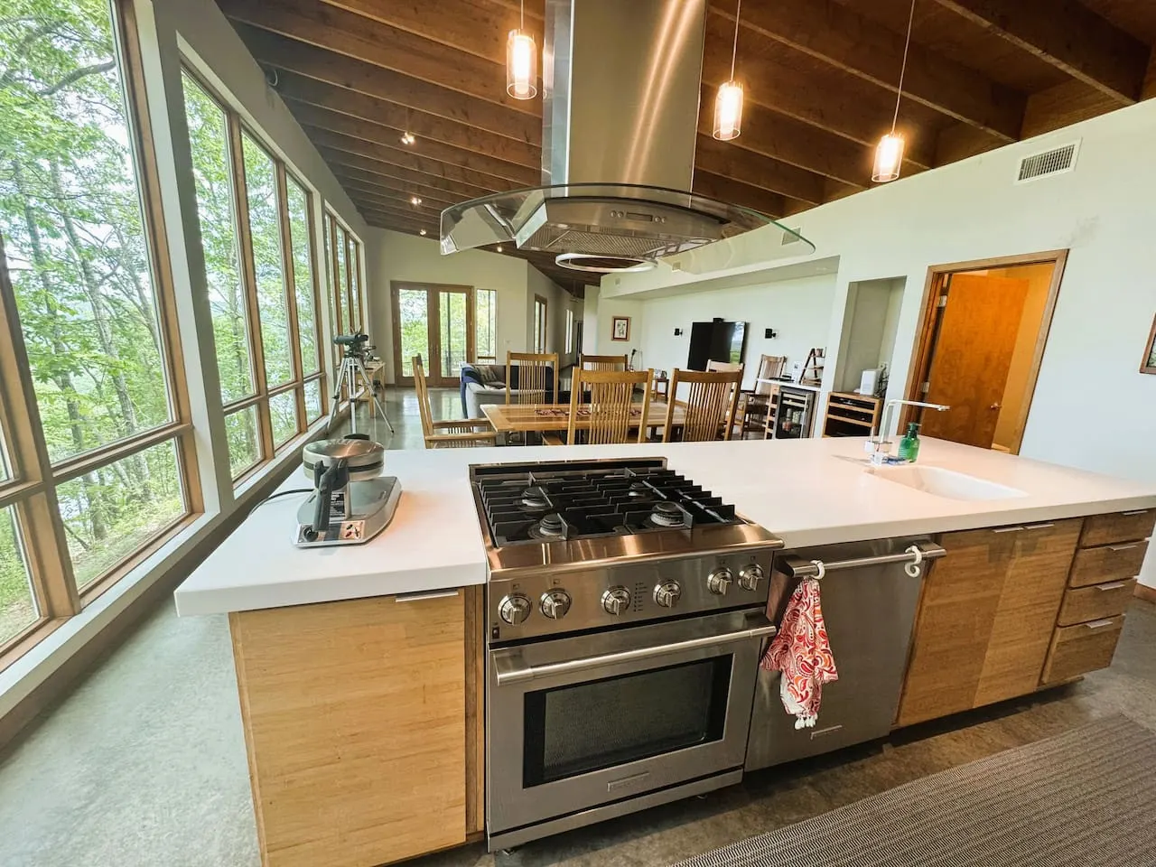 Greers Ferry Lake Modern 10
