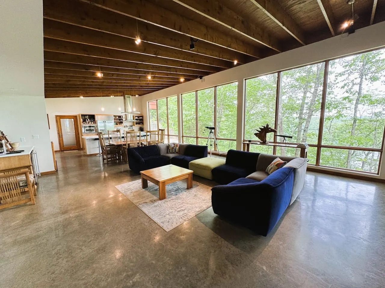 Greers Ferry Lake Modern 6
