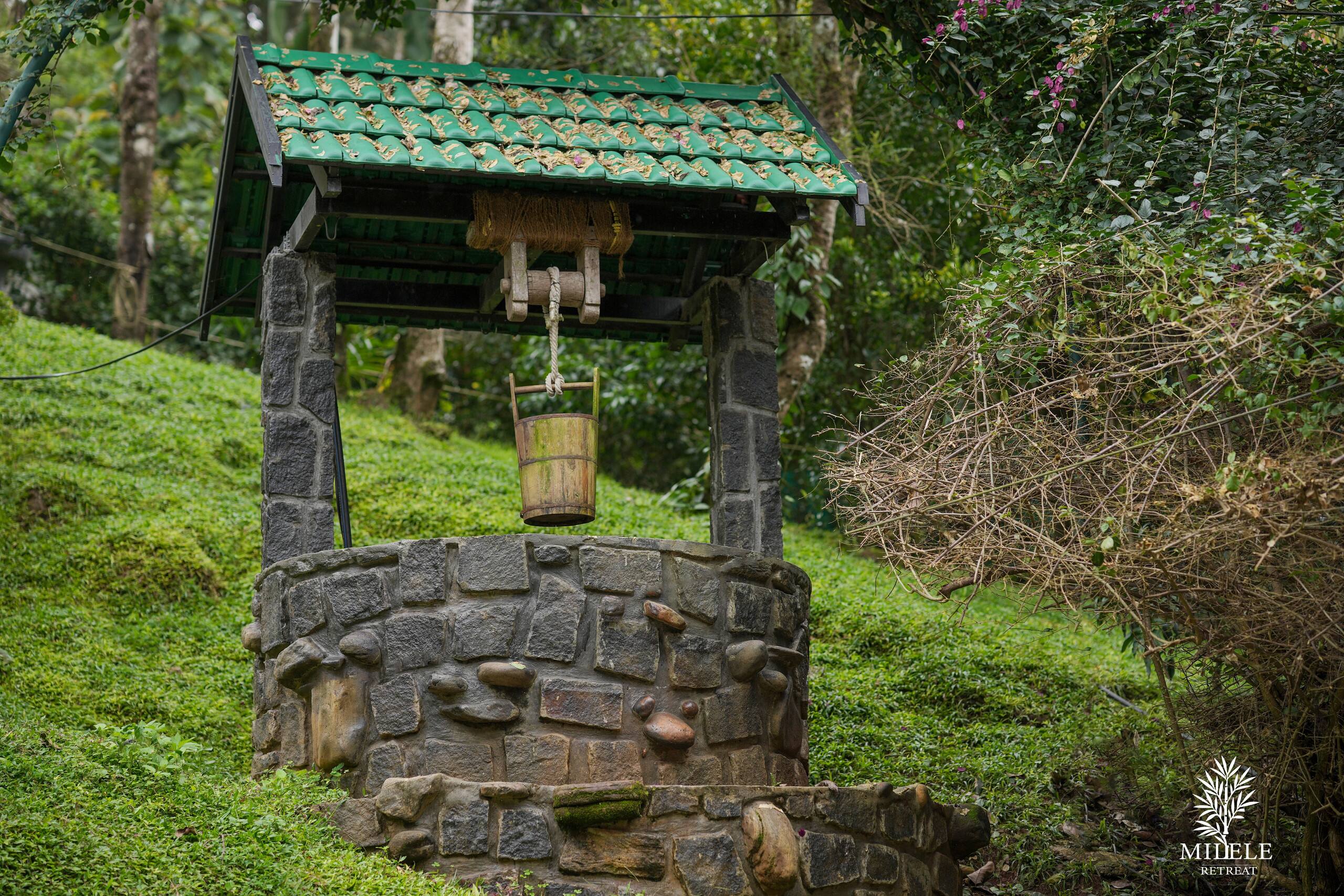 milele honeymoon castle-near vagamon, Thekkady 14