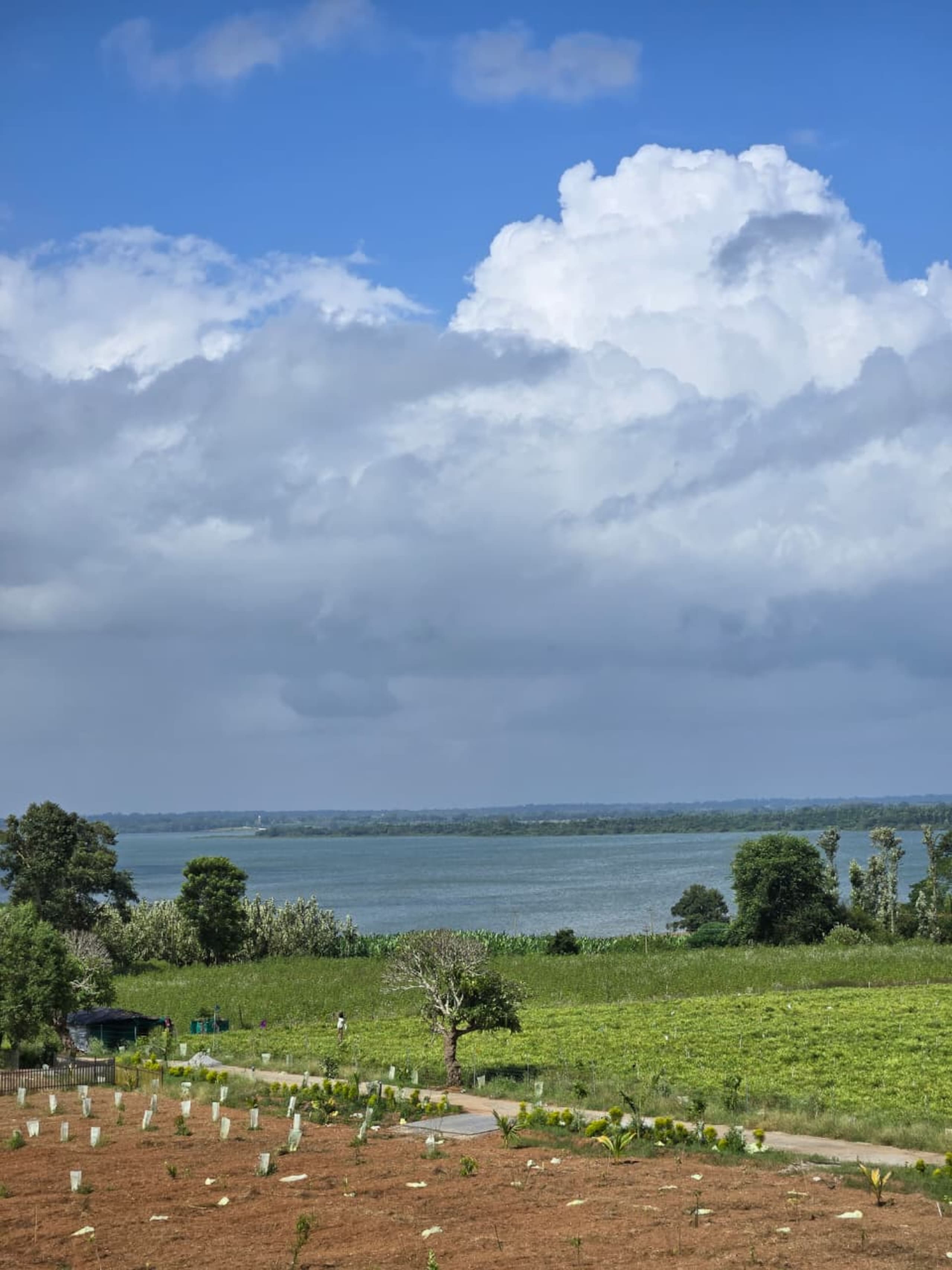 Aura Kabini by Tripture - A Luxury Riverside Villa 19