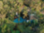 The Palm Canopy | Pool | Valley Views 11