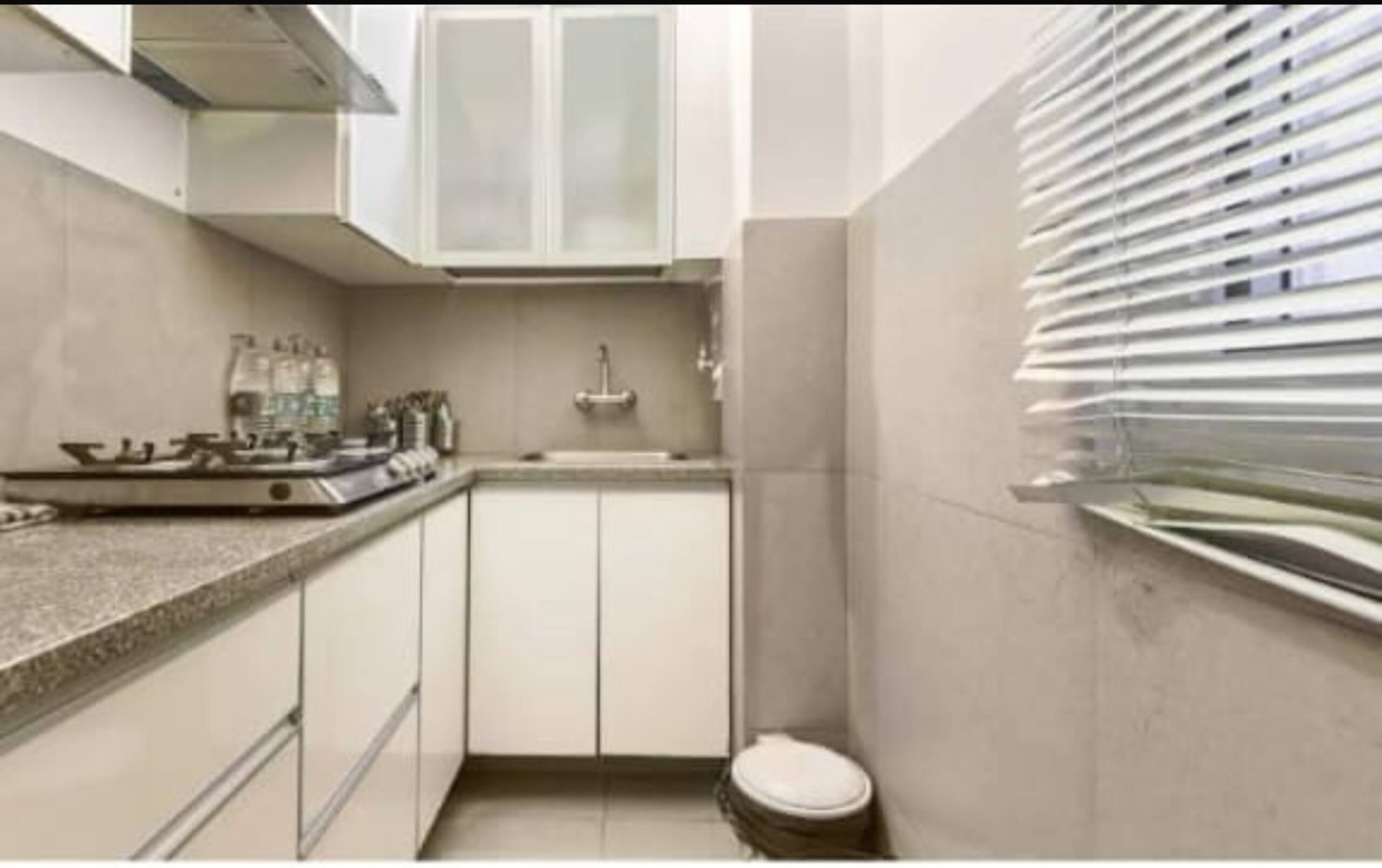 Tara Suites Naldehra 19