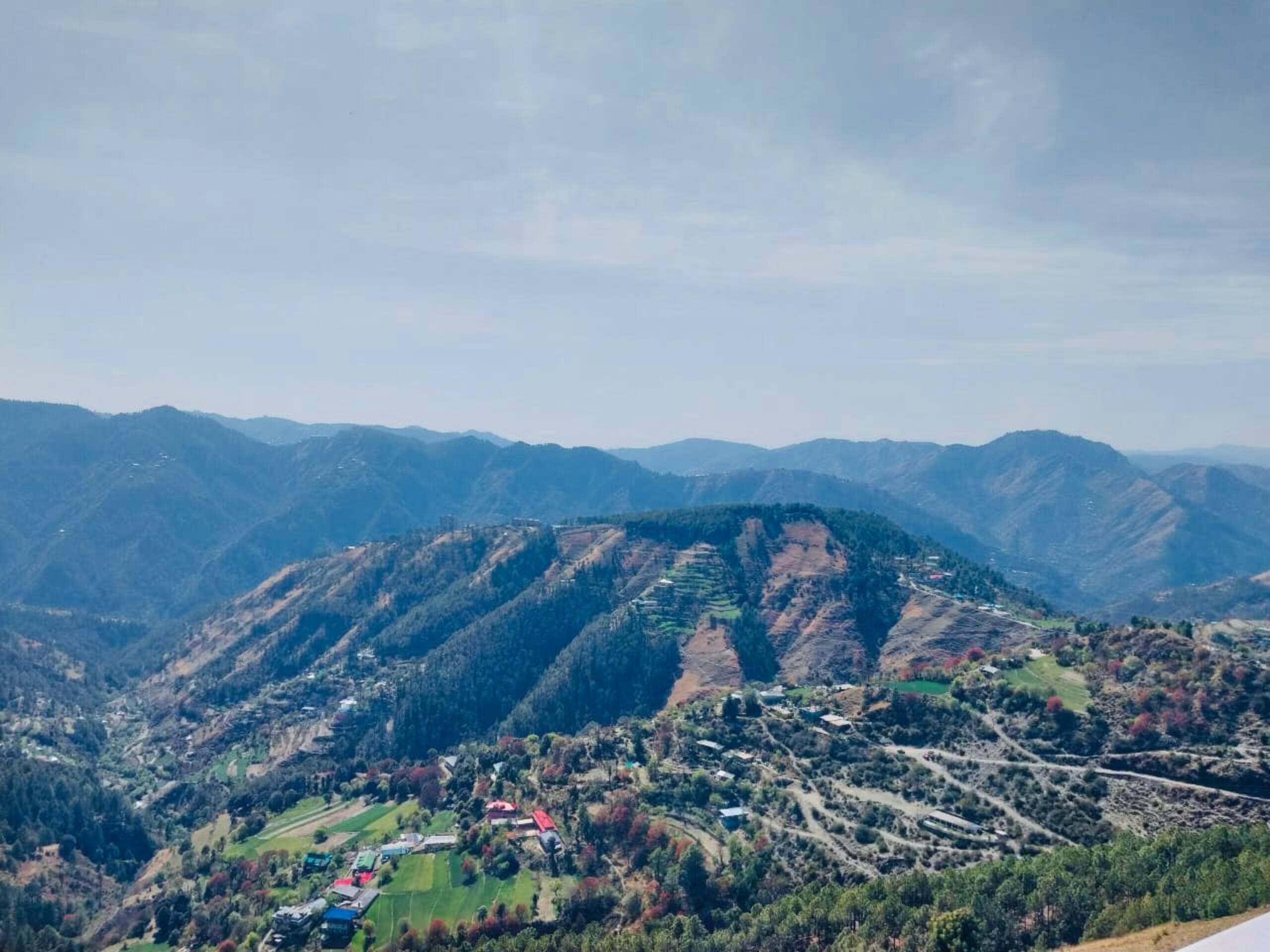 Tara Suites Naldehra 18