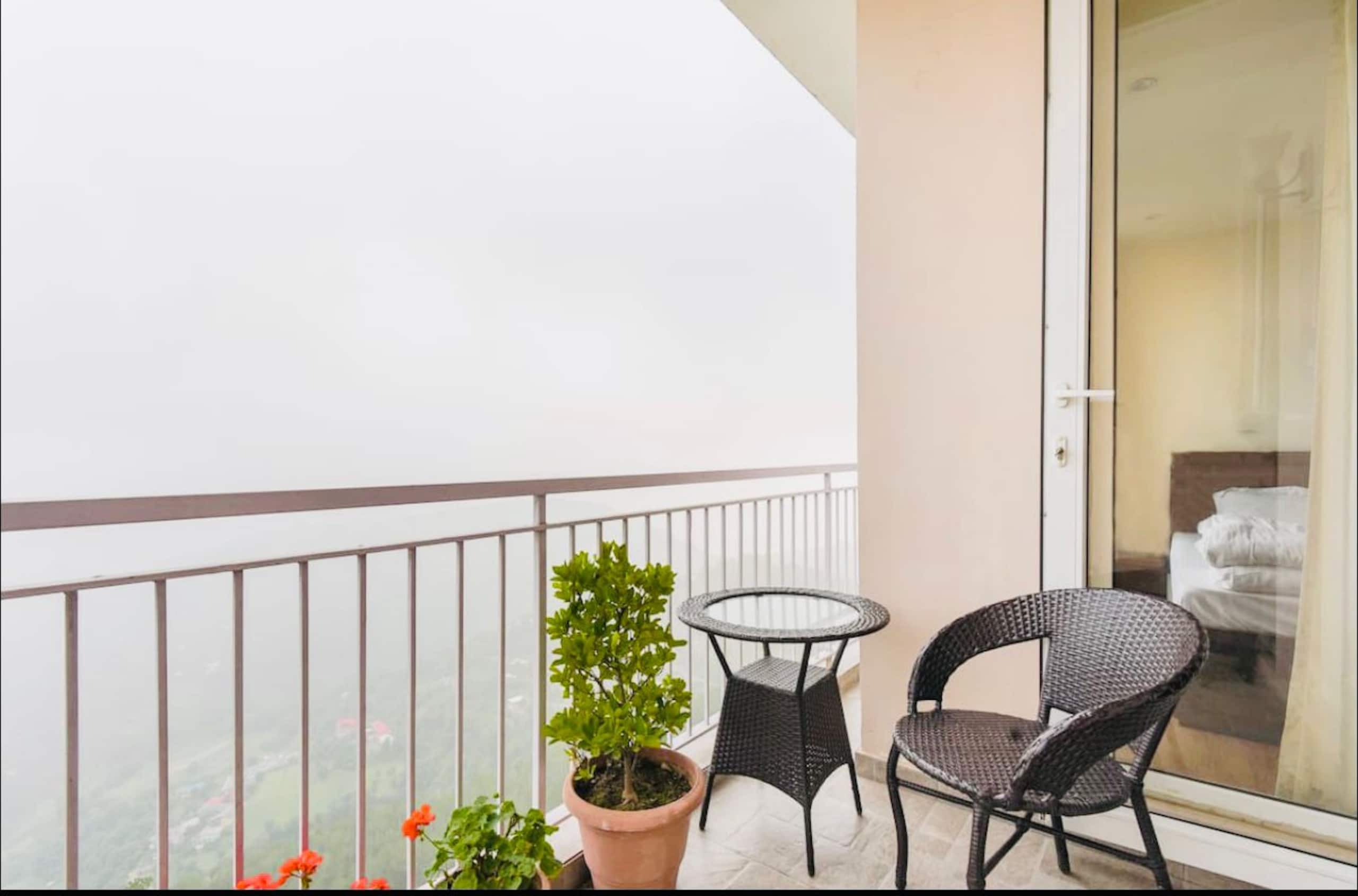 Tara Suites Naldehra 12