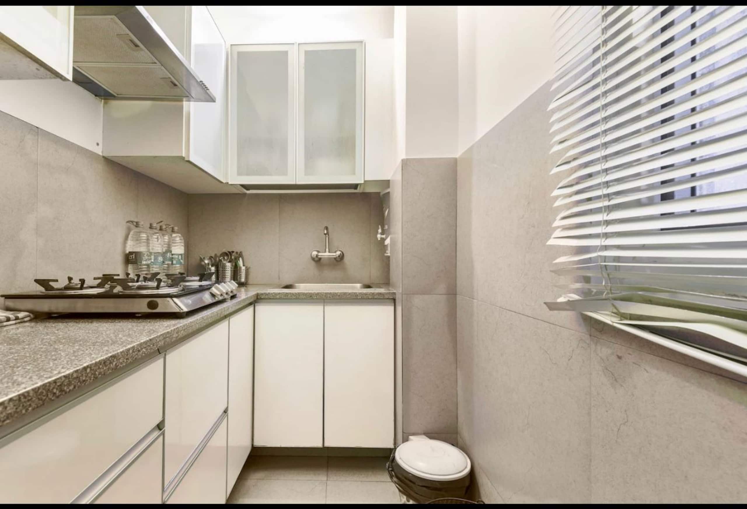 Tara Suites Naldehra 11