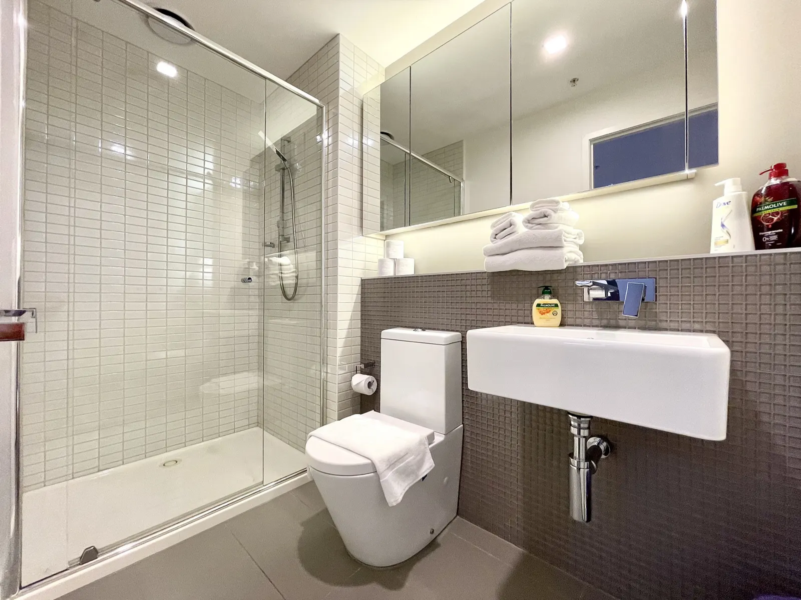 ReadySet Apartments on Rose Lane - 3 Bedroom Apartment RL3 11