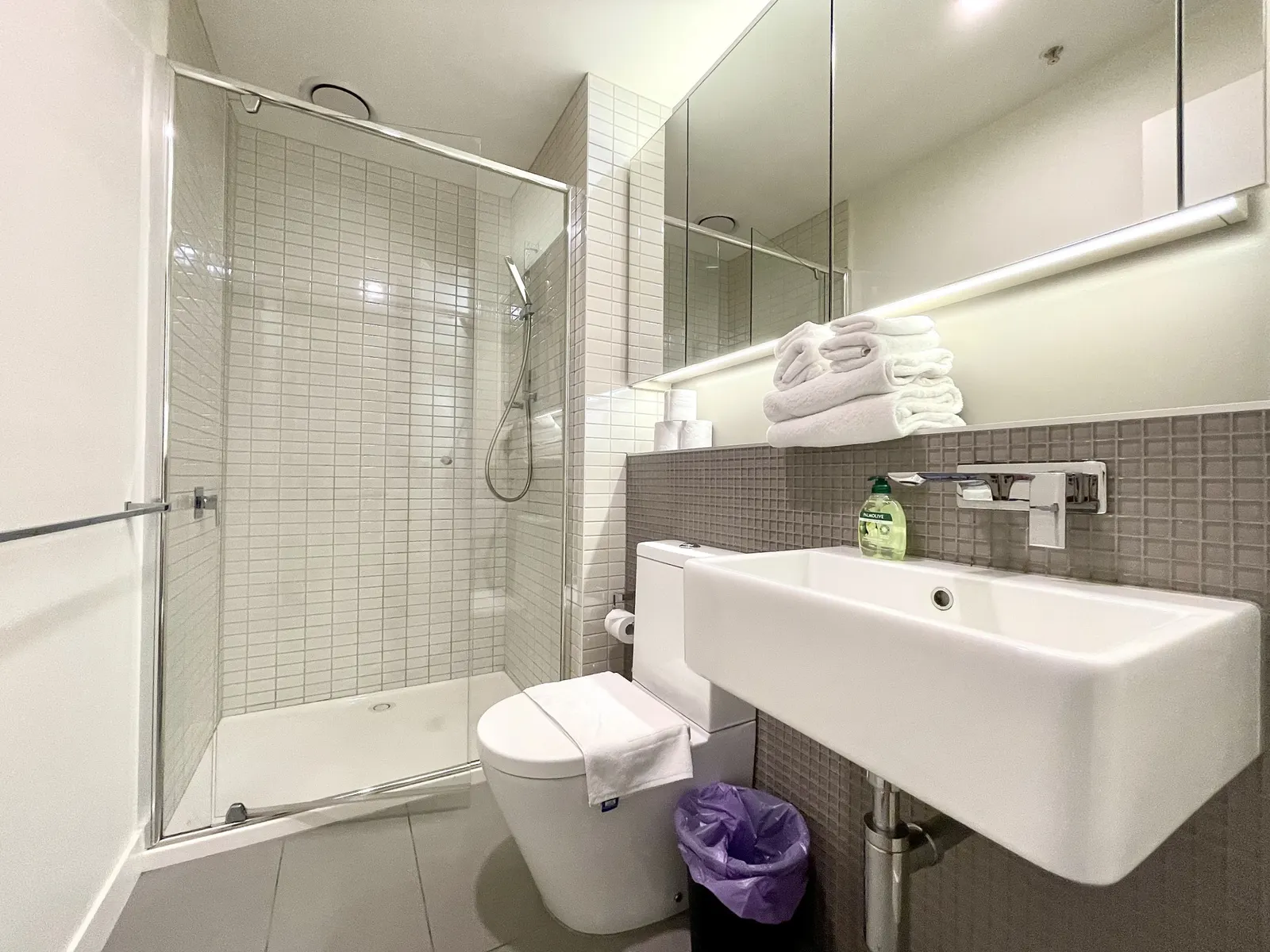 ReadySet Apartments on Rose Lane - 3 Bedroom Apartment RL3 12