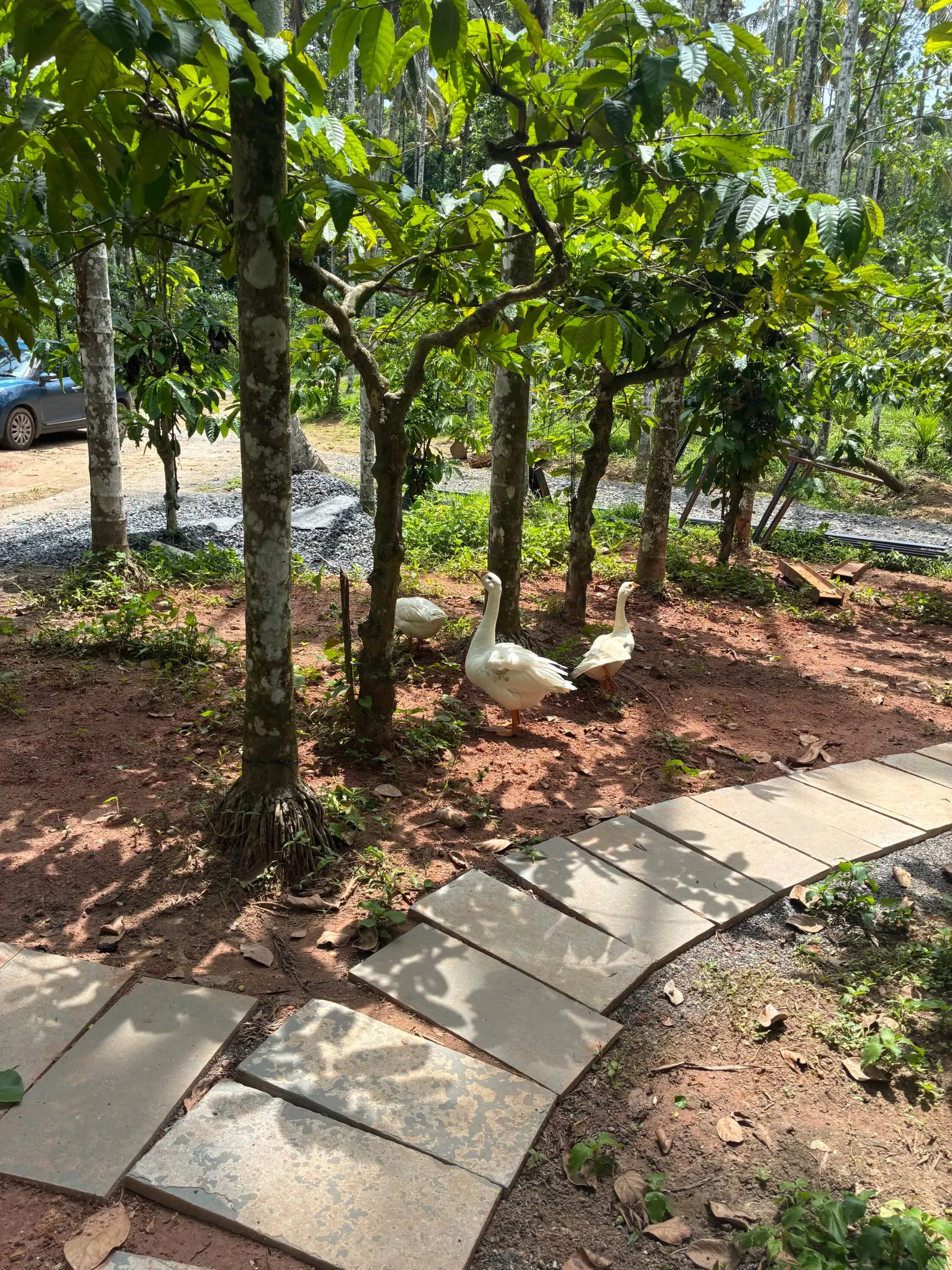 Hidden Bliss Resort – 1bhk Private Villa 19