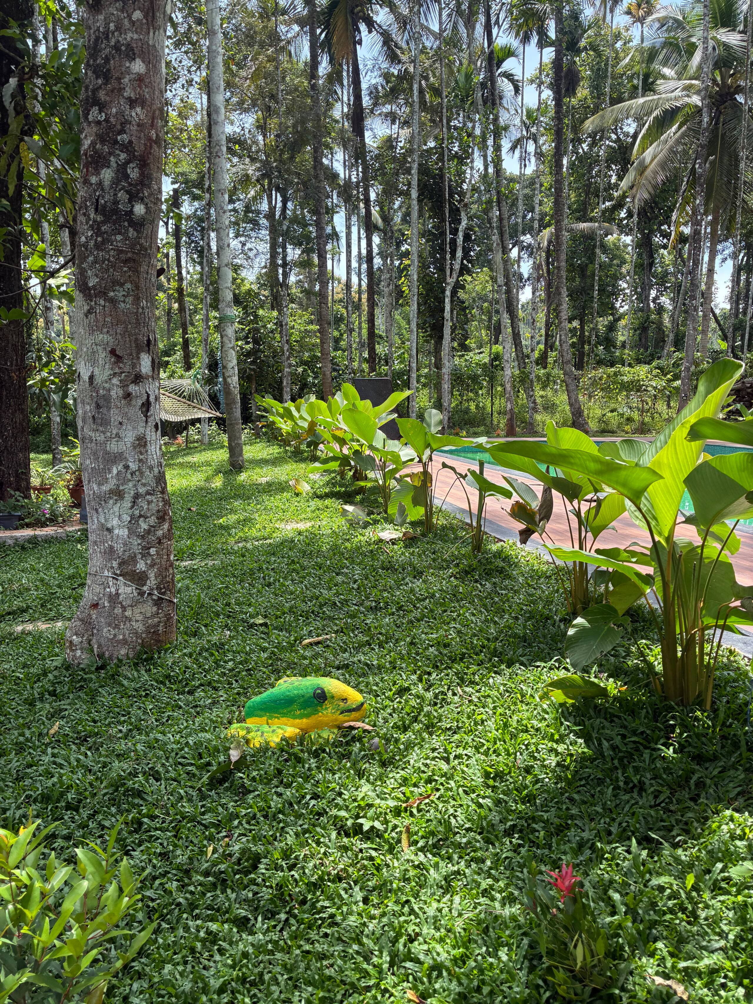 Hidden Bliss Resort – 1bhk Private Villa 34