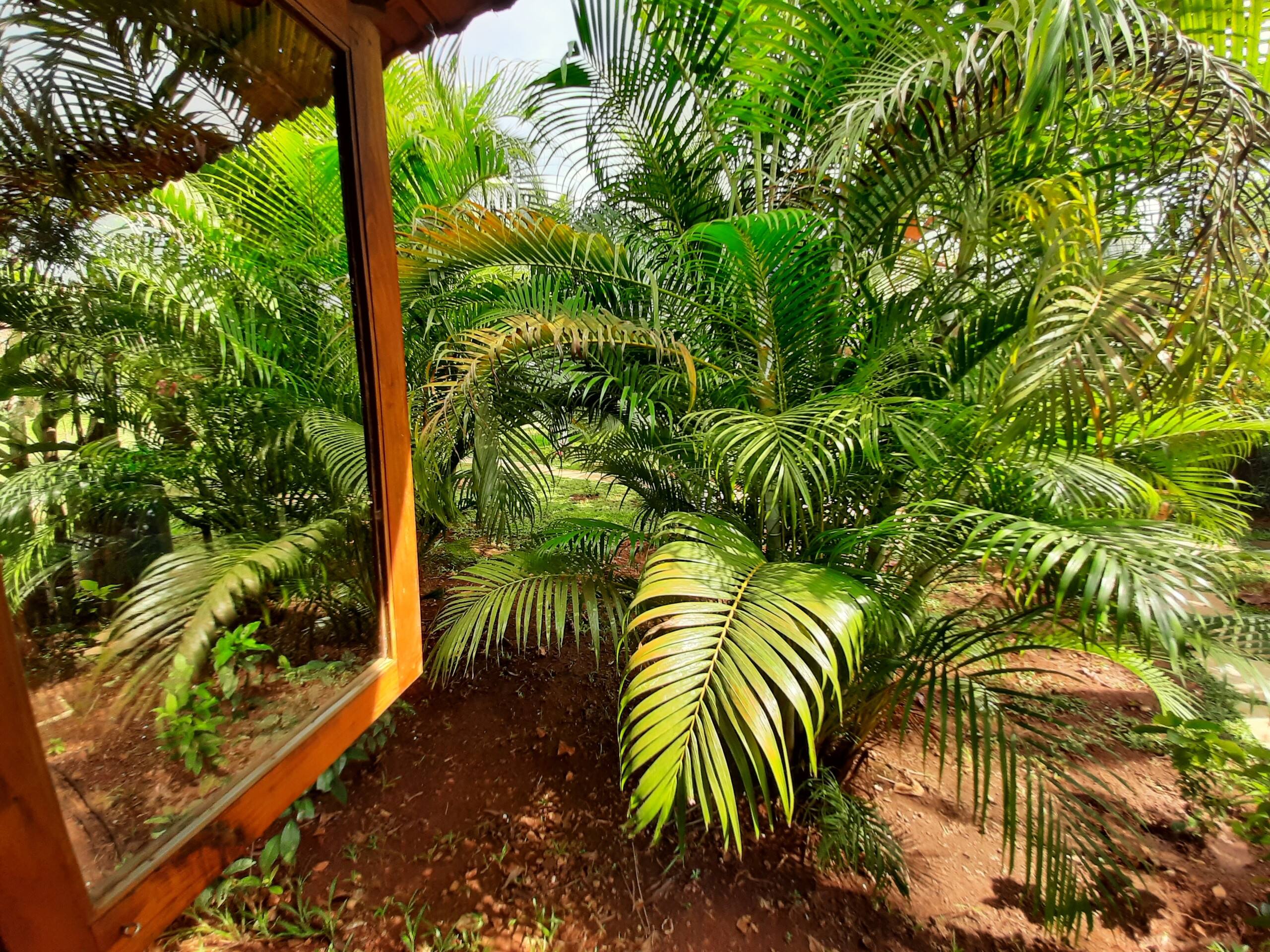 Red Wooden cottage 50 meter from Beach 6