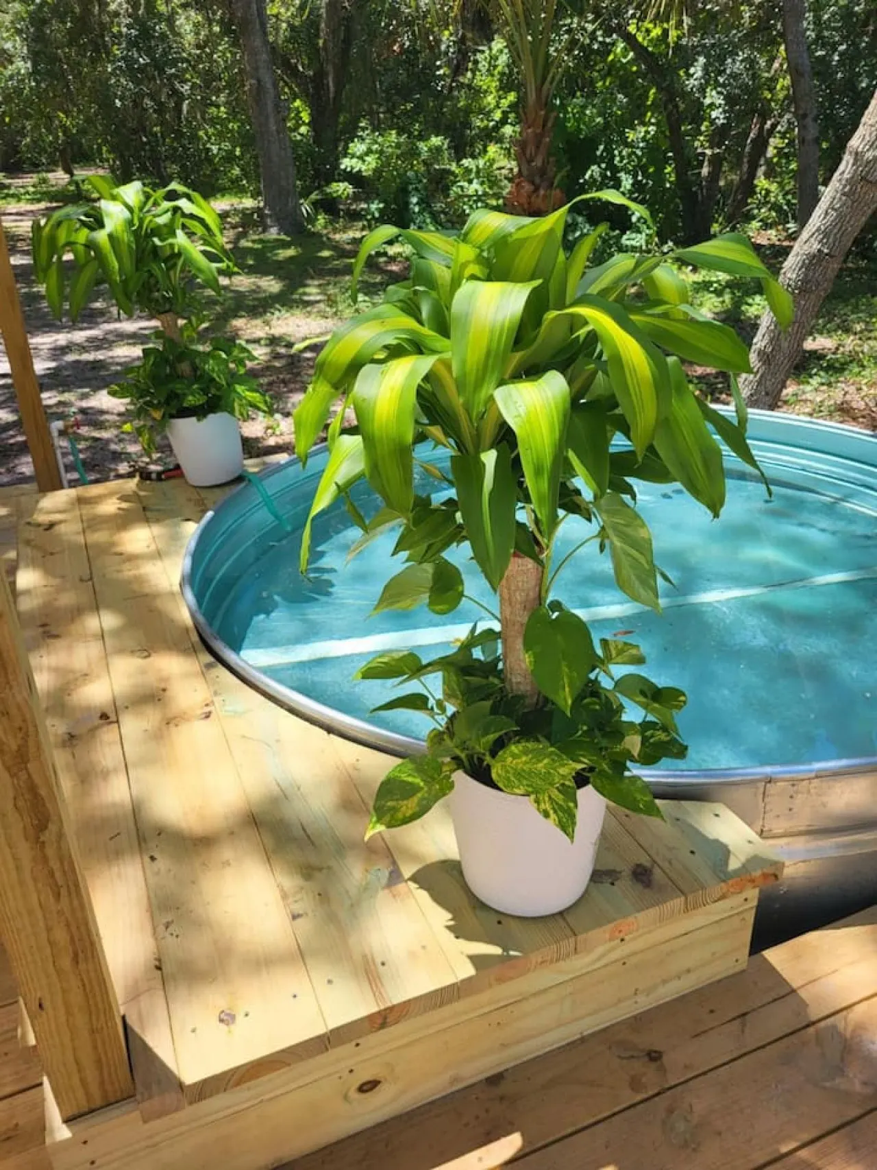 Glamping+Free Horseback Riding+Petting Farm 15