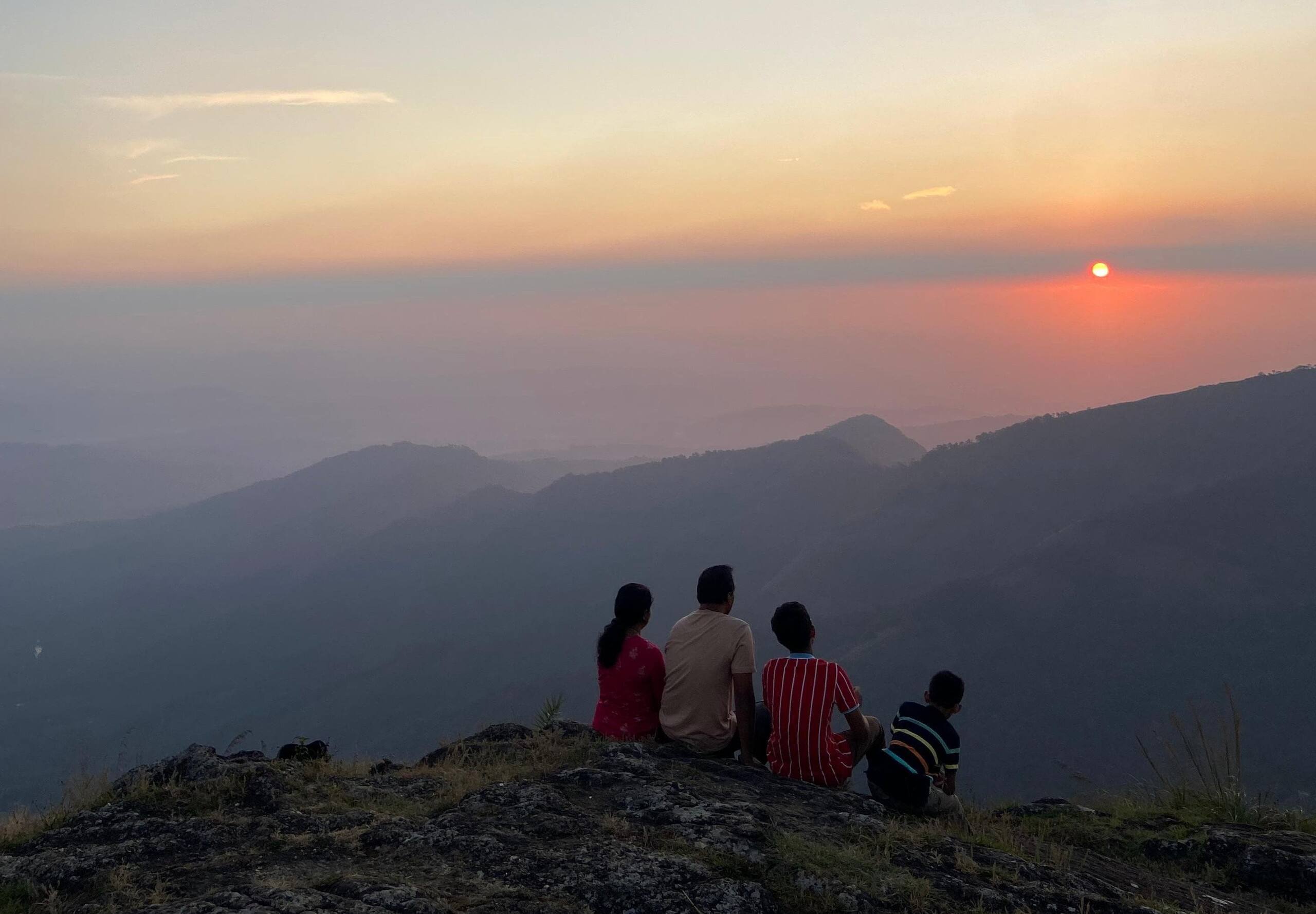 Bell Farms, Pullikanam, Vagamon 29