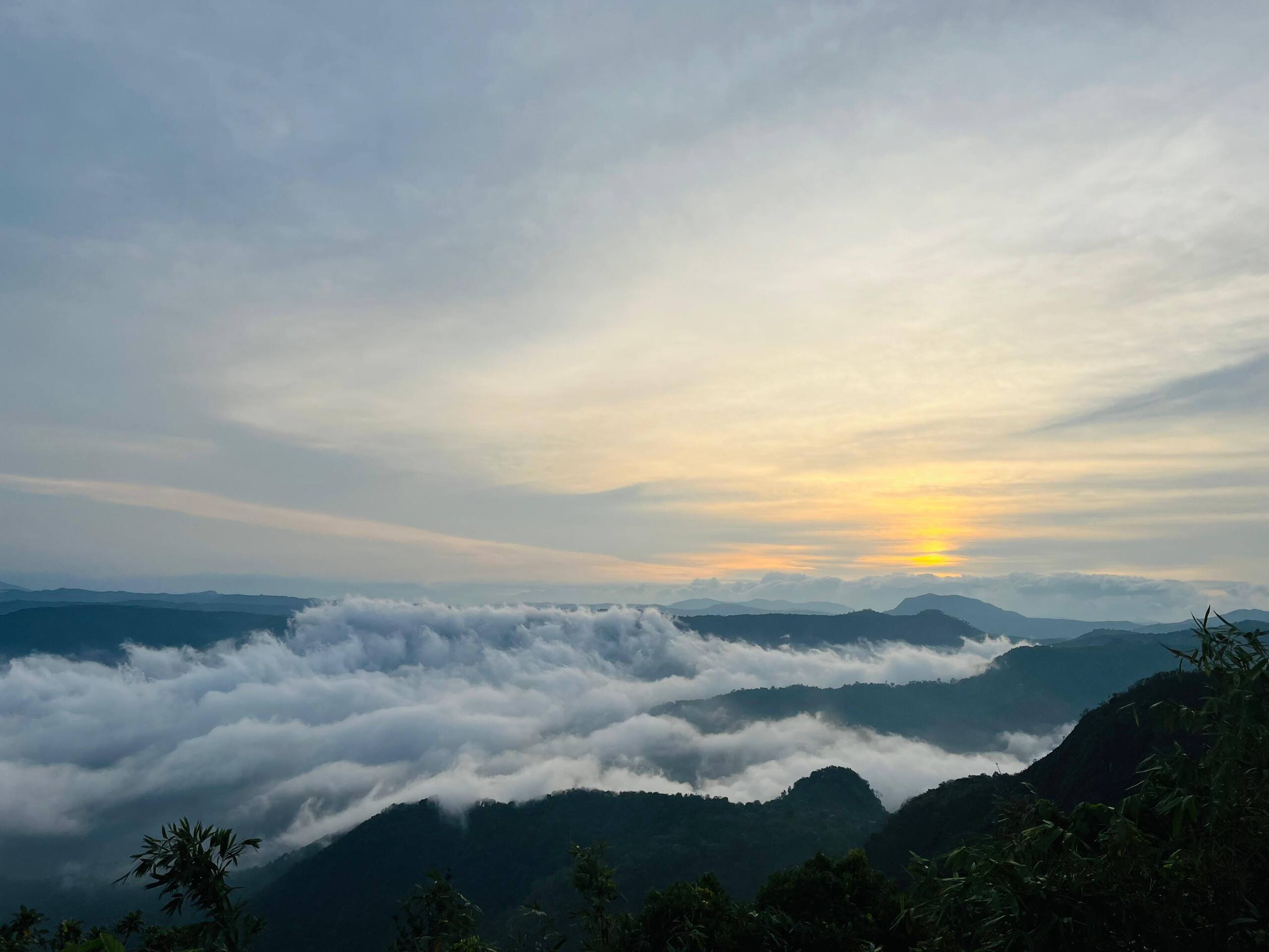 Bell Farms, Pullikanam, Vagamon 1