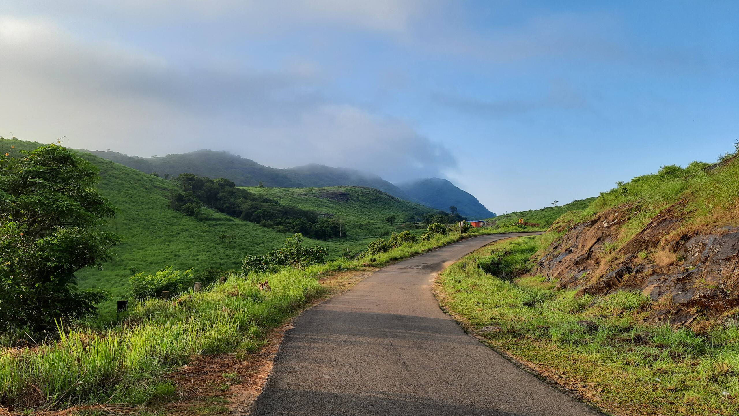 Bell Farms, Pullikanam, Vagamon 3