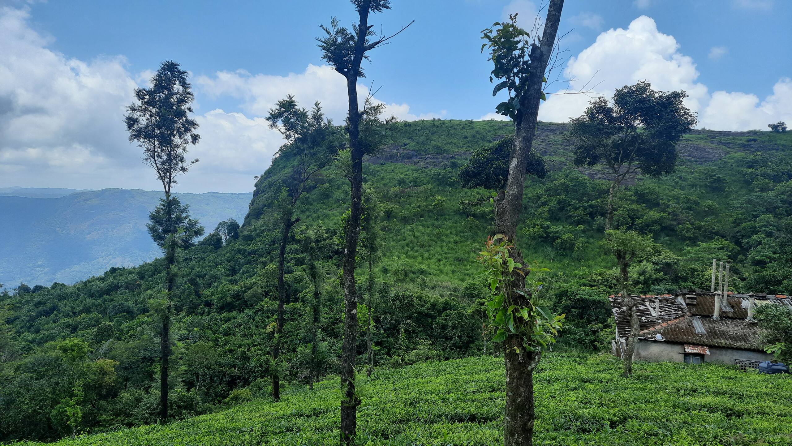 Bell Farms, Pullikanam, Vagamon 2