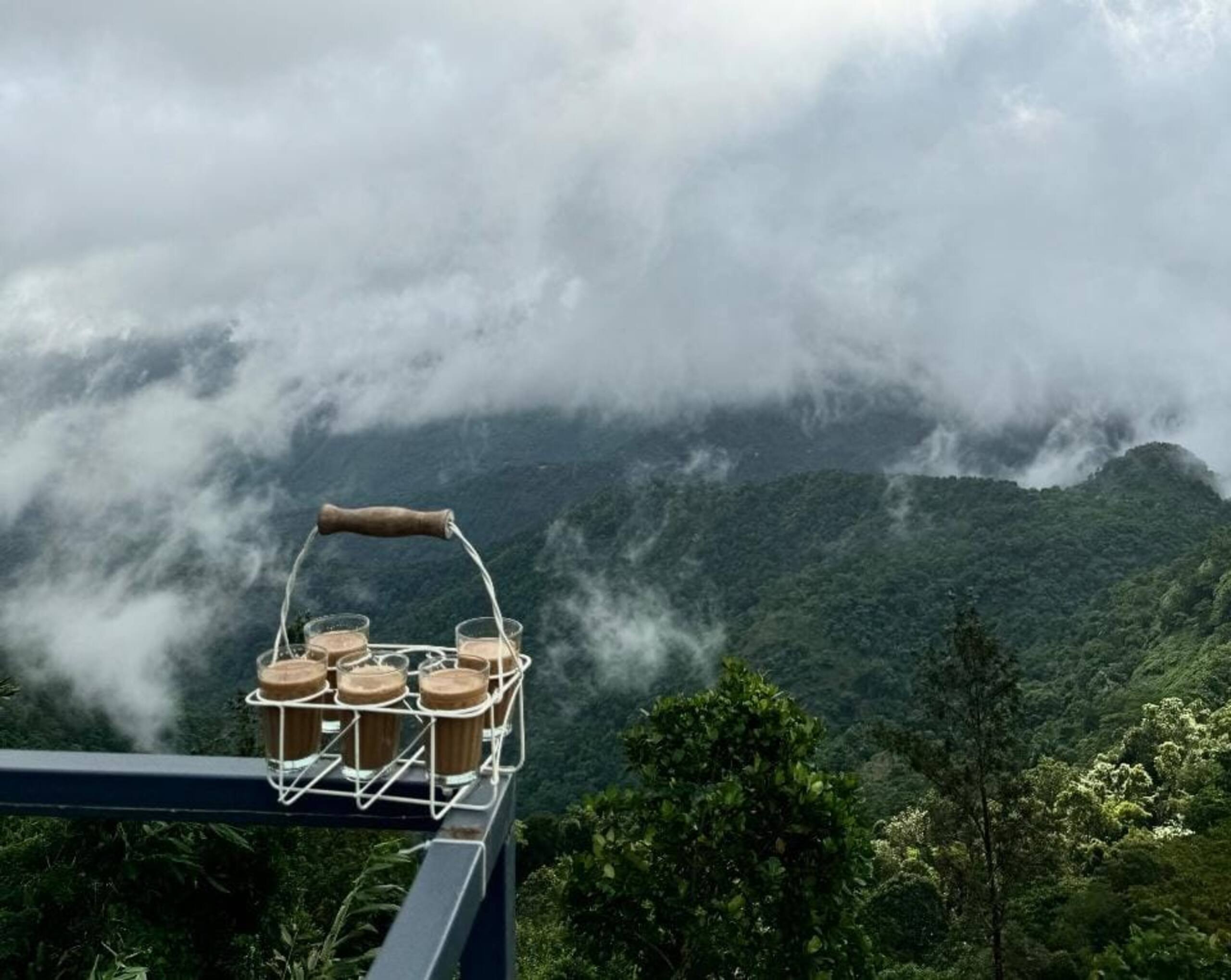 Bell Farms, Pullikanam, Vagamon 18