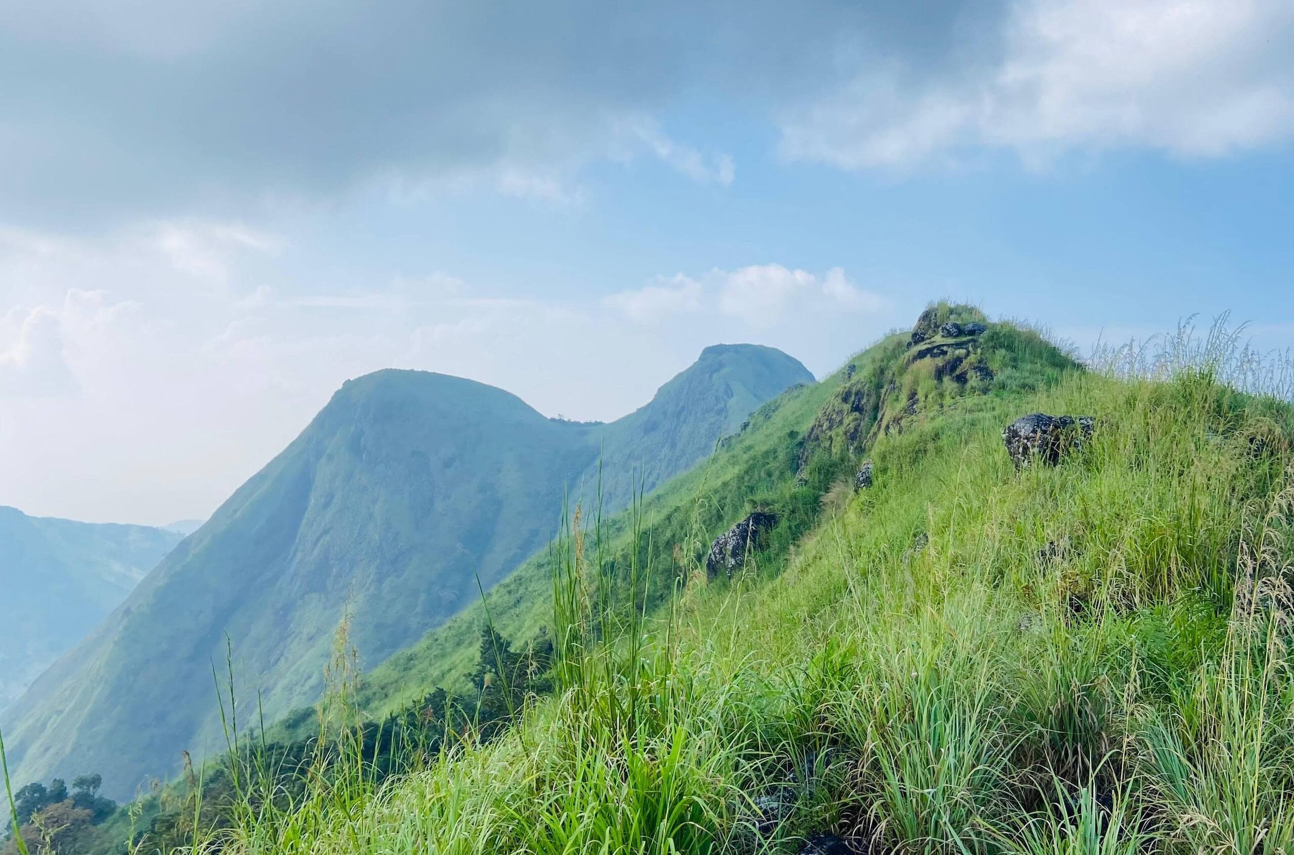 Bell Farms, Pullikanam, Vagamon 30