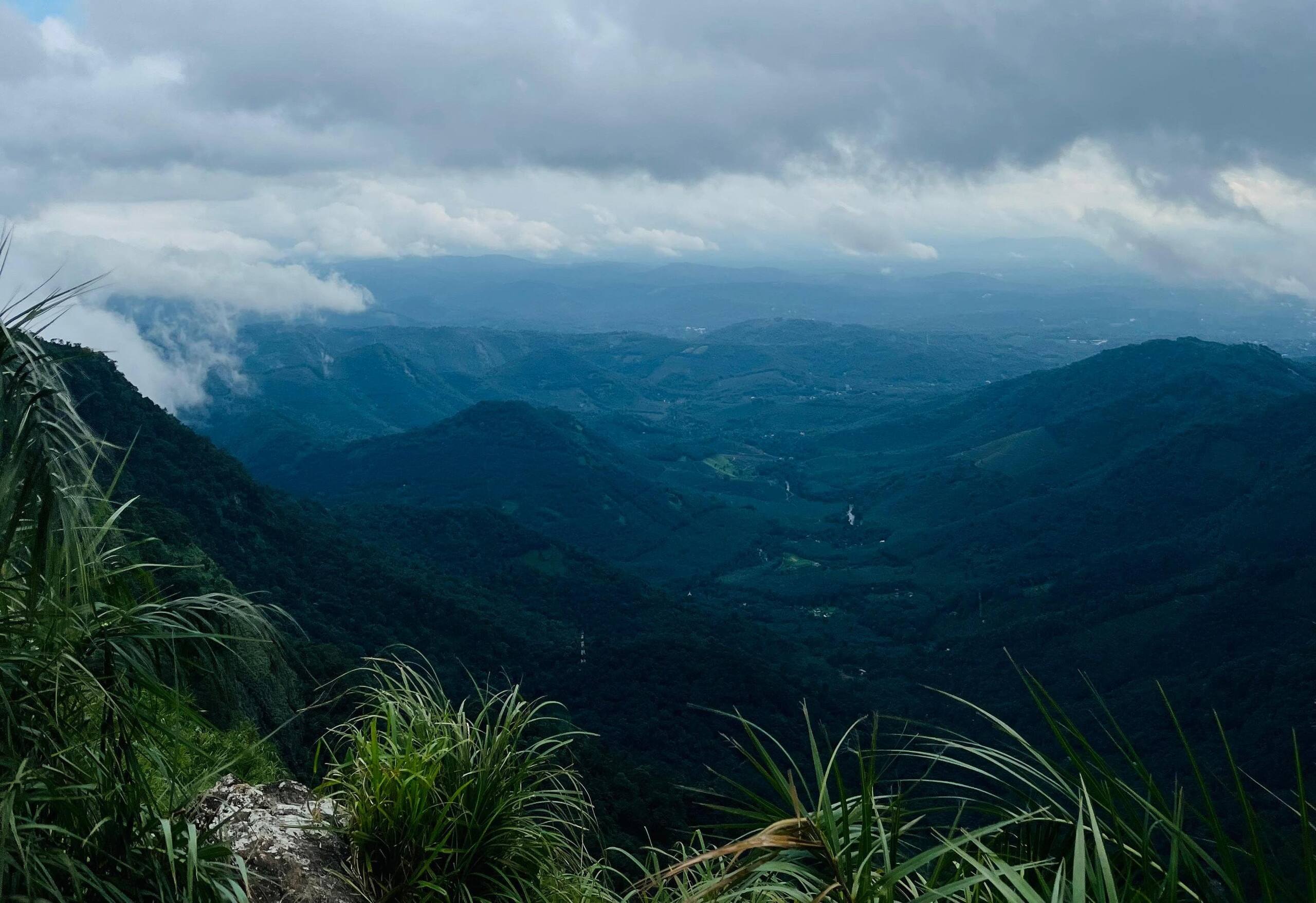 Bell Farms, Pullikanam, Vagamon 32