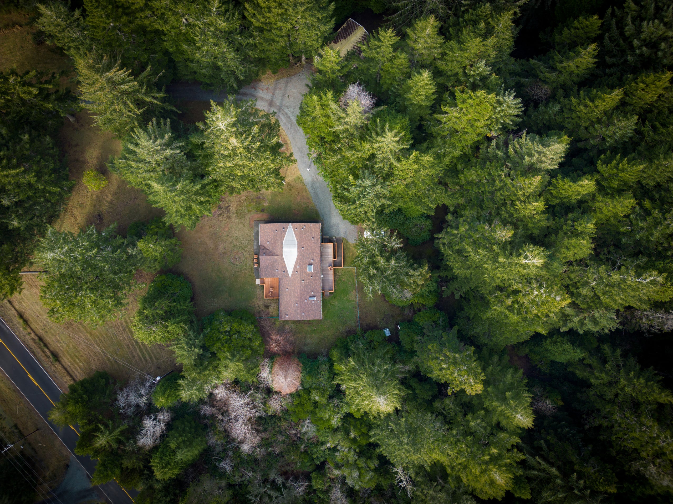 Moose's Manor at Bandon — photo 4