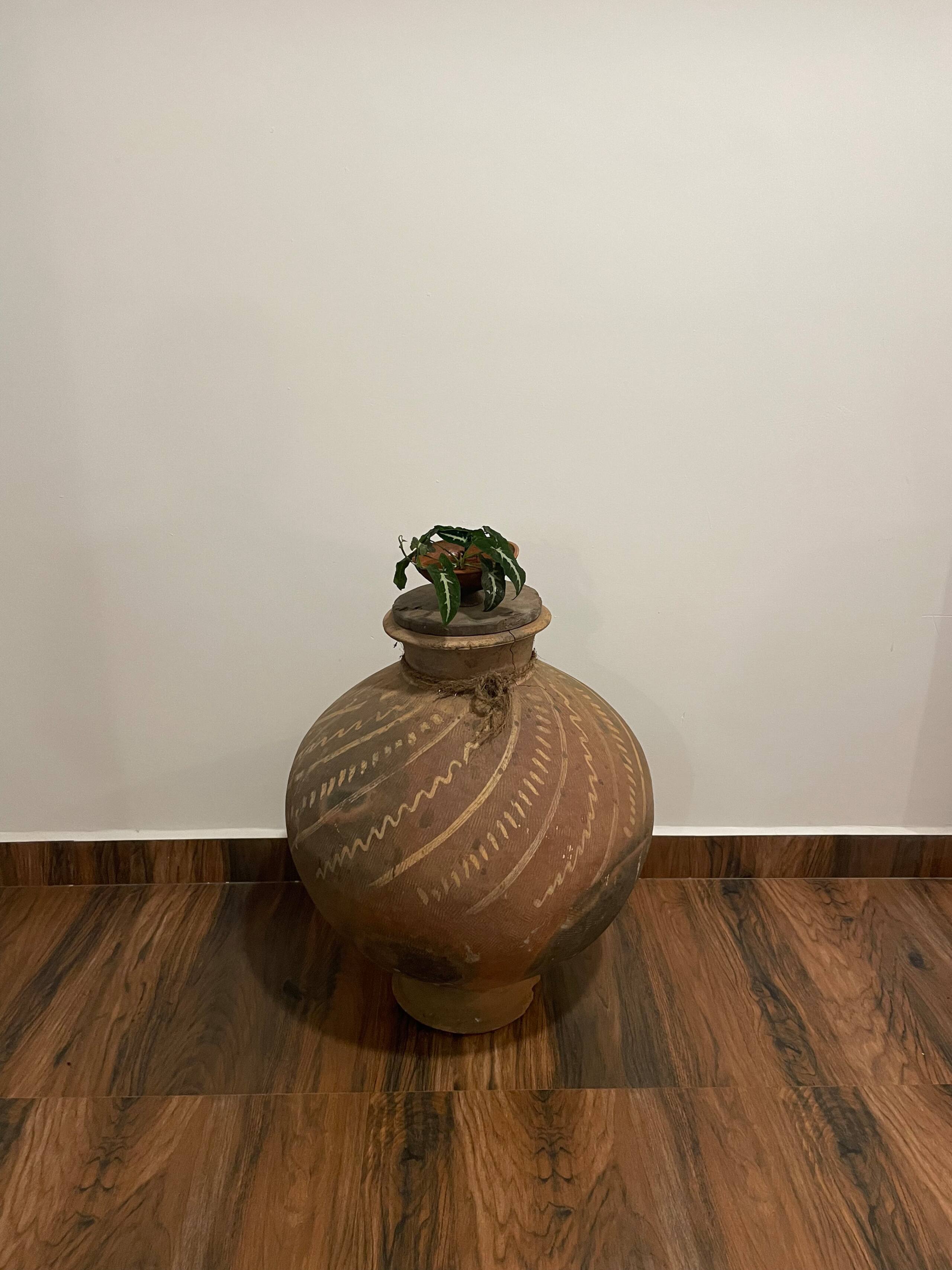 Roberto's Palace — photo 4