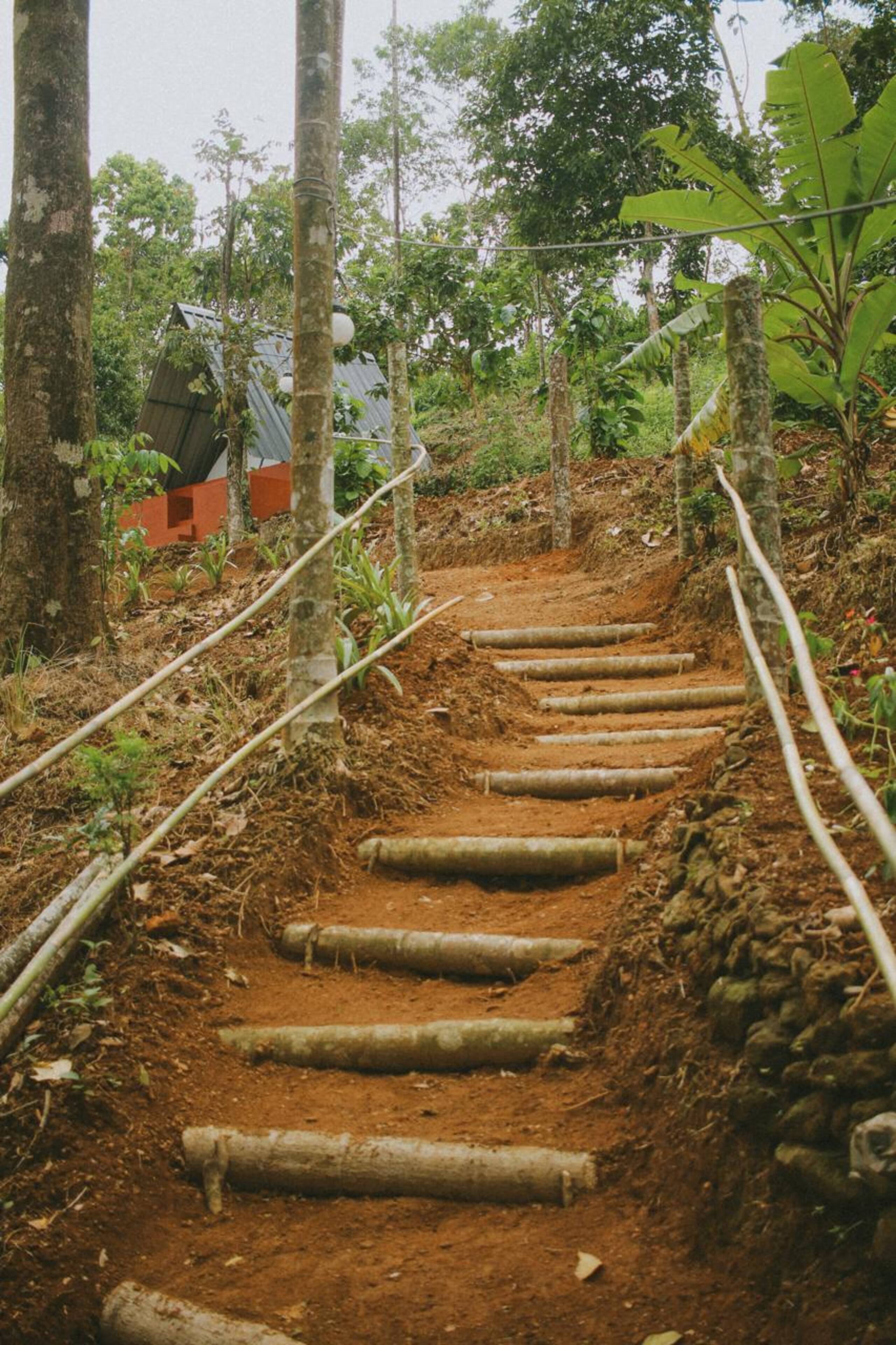 Nilayoram Stay – Scenic Farm Retreat 4