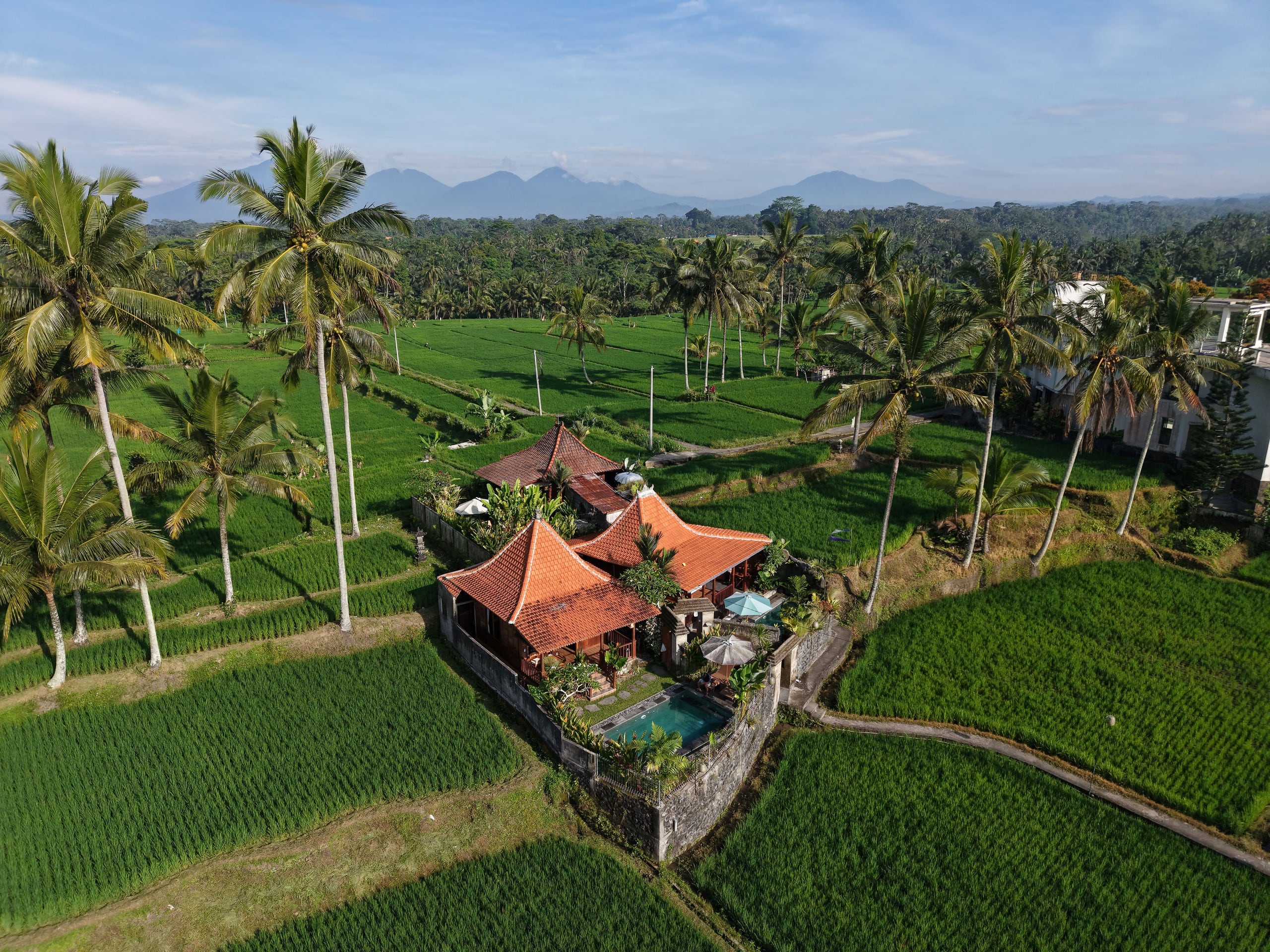Gedong Batu Private pool villa near Ubud — photo 3