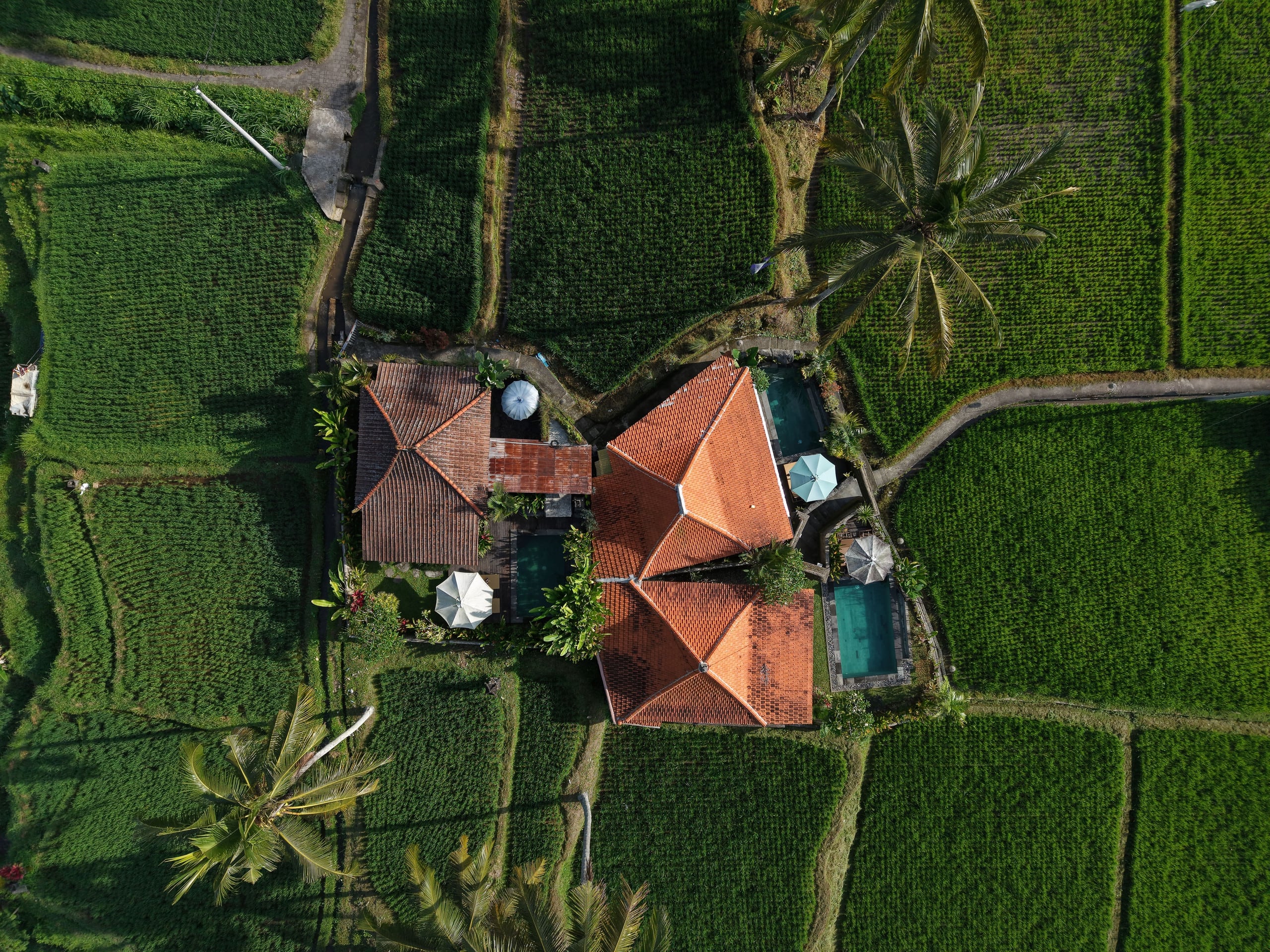 Gedong Batu Private pool villa near Ubud 18