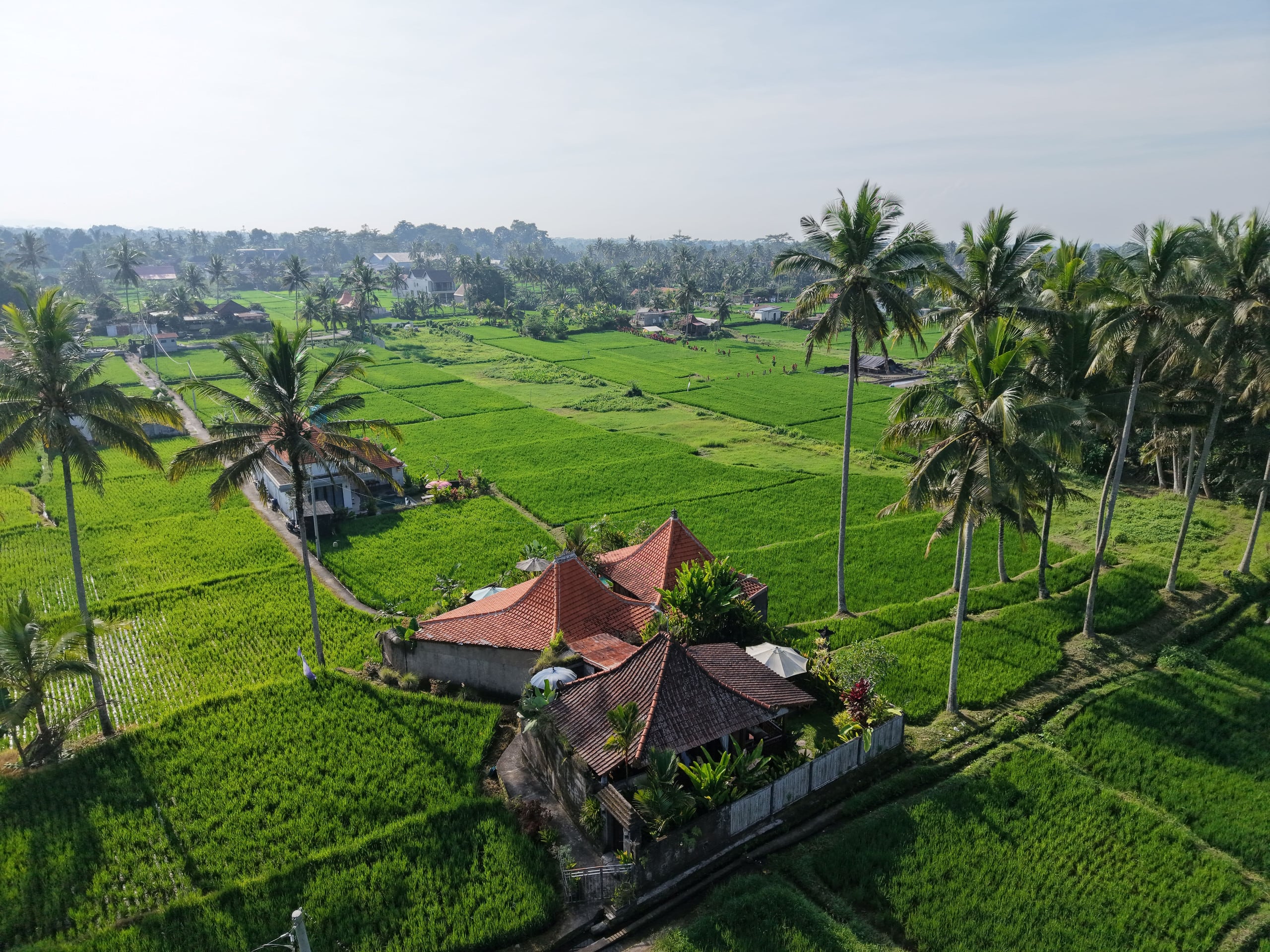 Gedong Batu Private pool villa near Ubud 17