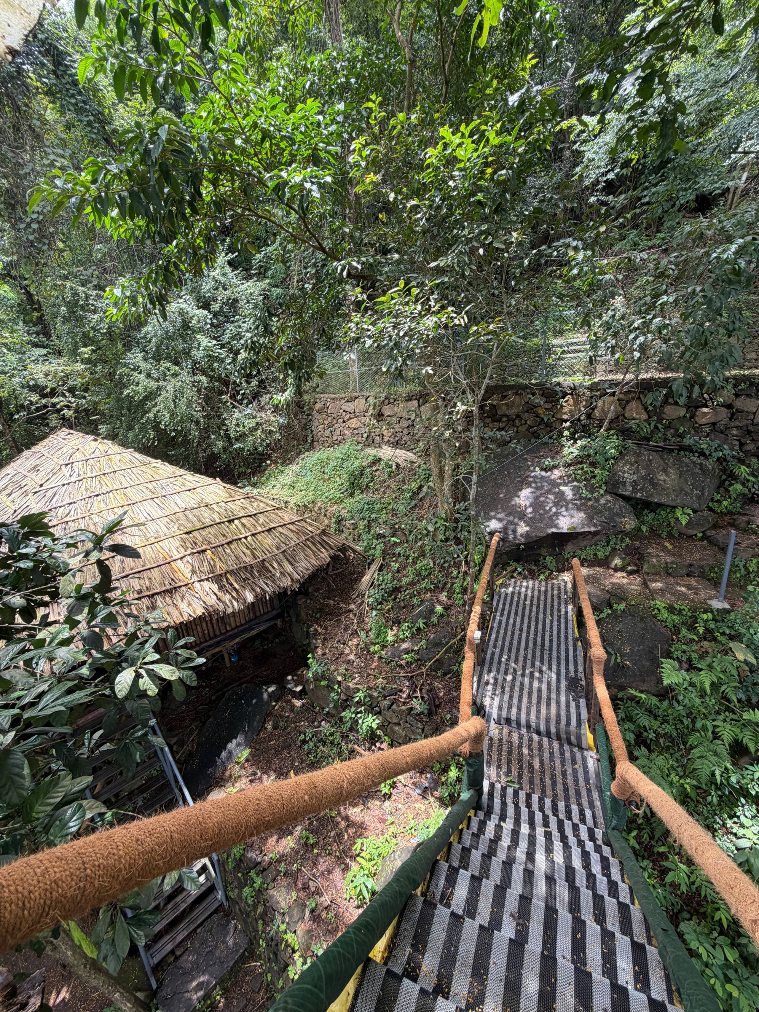 Srishti - Bamboo Cottage with Private Tree House 31