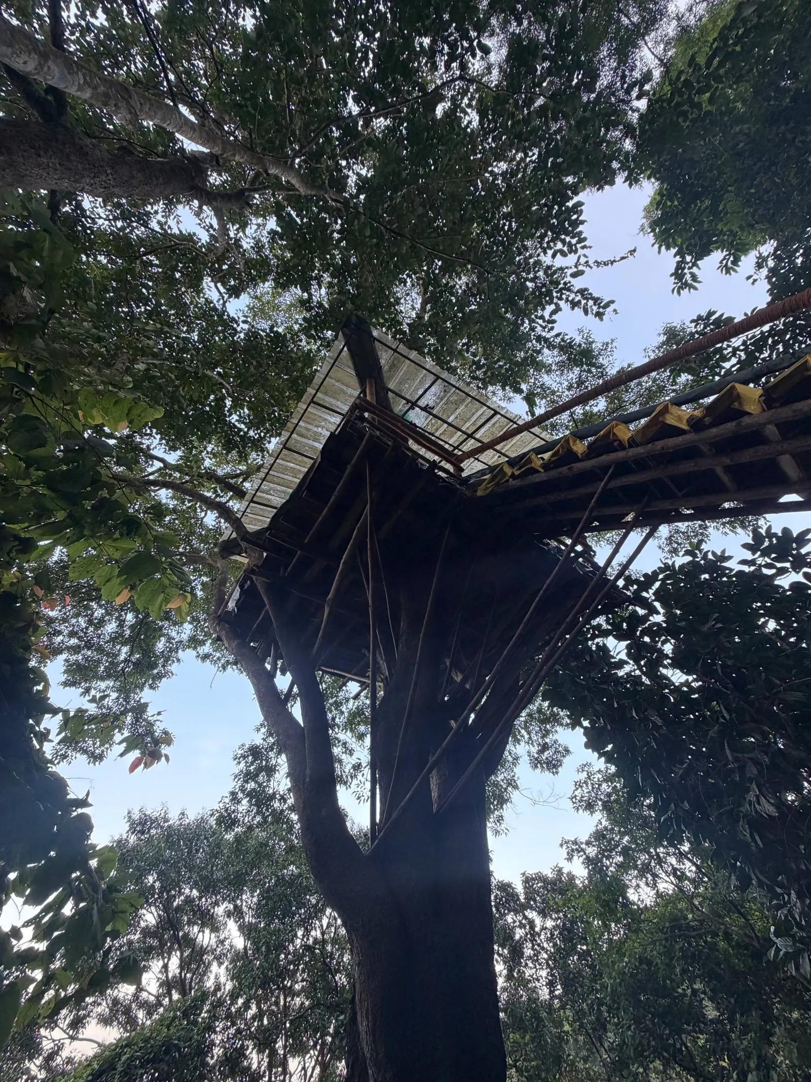 Srishti - Bamboo Cottage with Private Tree House 25