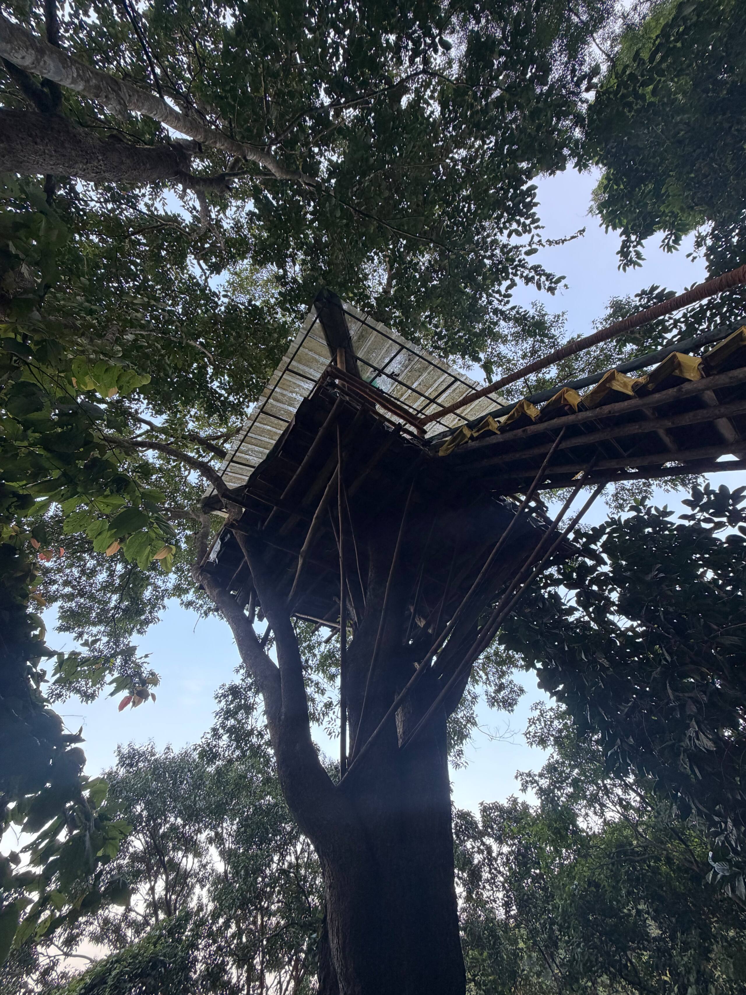 Srishti - Bamboo Cottage with Private Tree House 25
