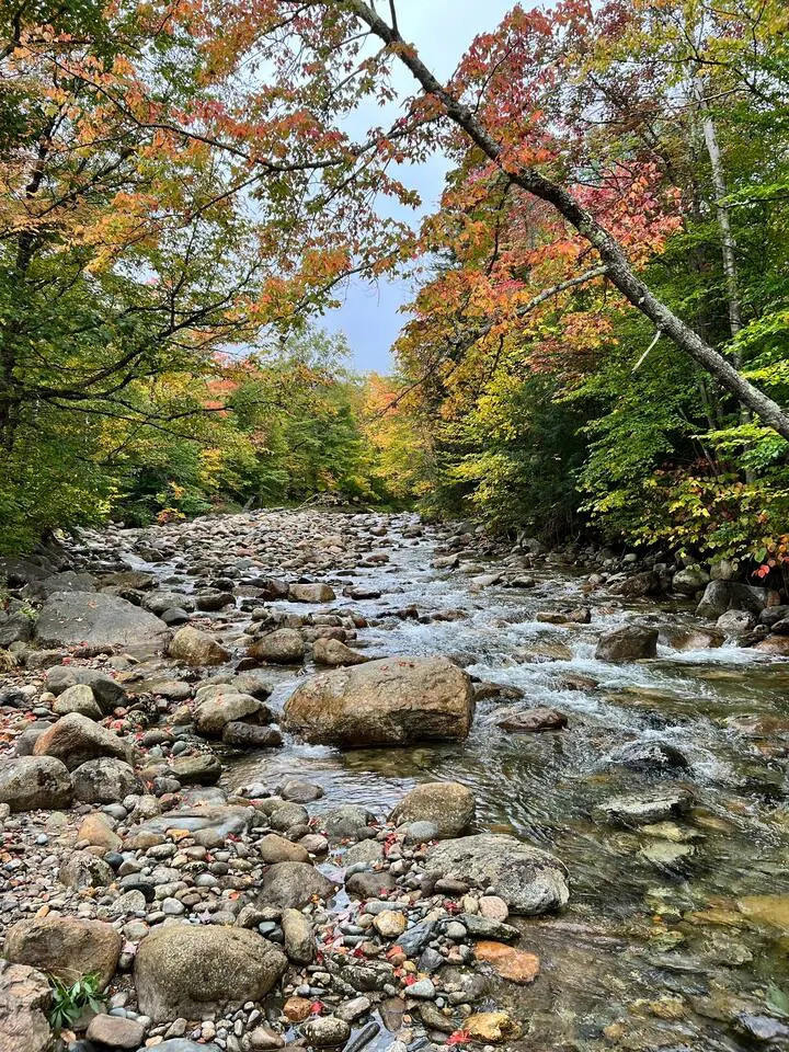River Home Near Bretton Woods 3 beds 2 baths — photo 5