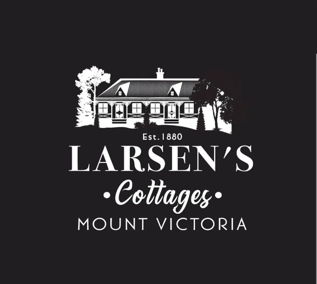 Larsen's Cottage #1: Historic 1880 Home 13