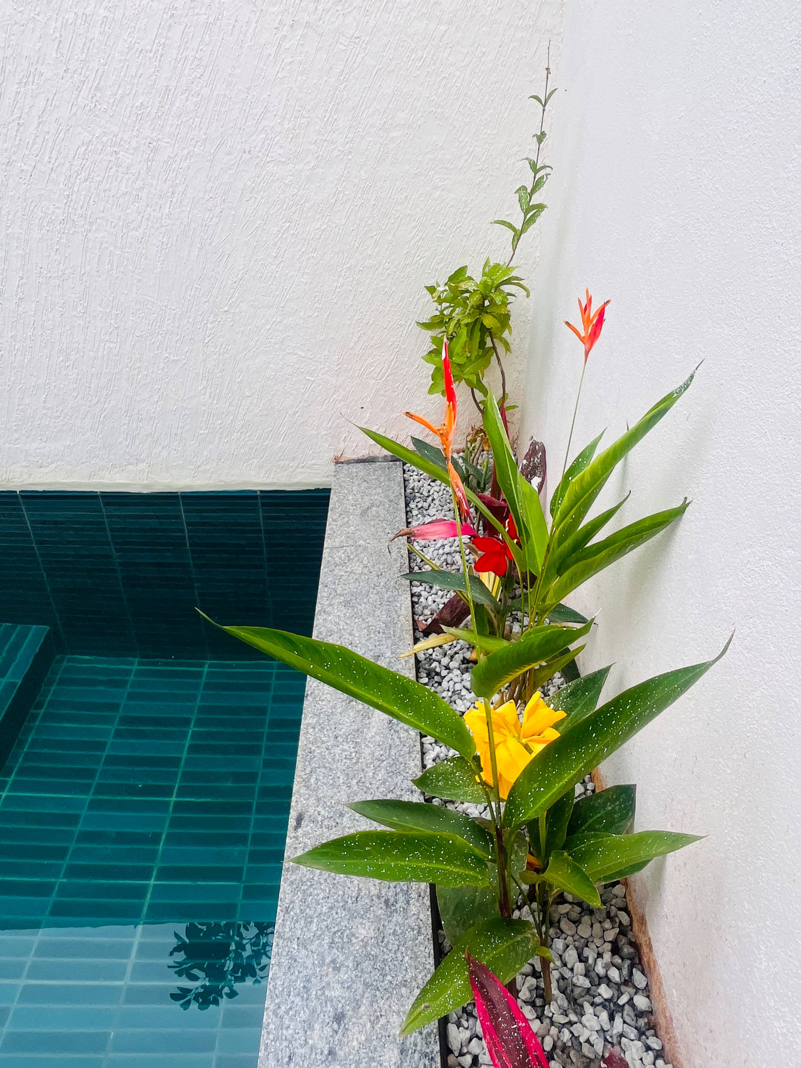Ayara Cottage Cozy room with private pool 26