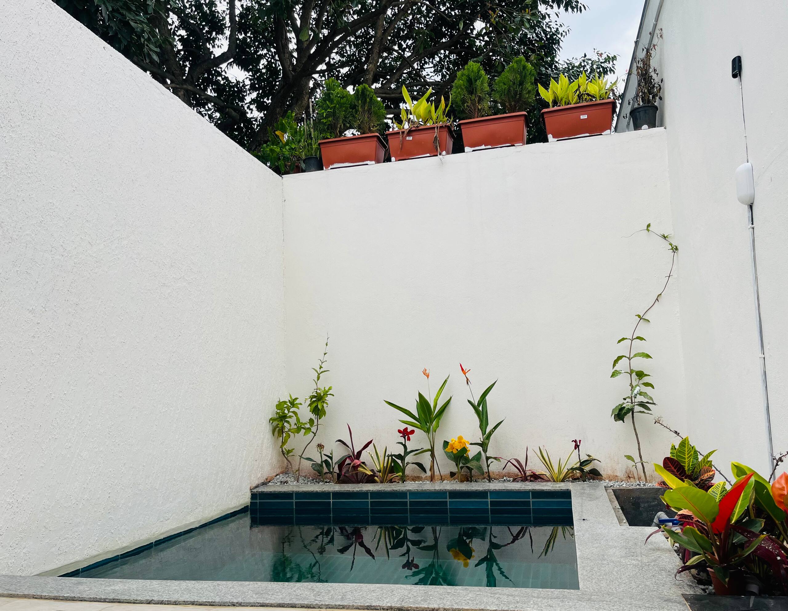 Ayara Cottage Cozy room with private pool 12