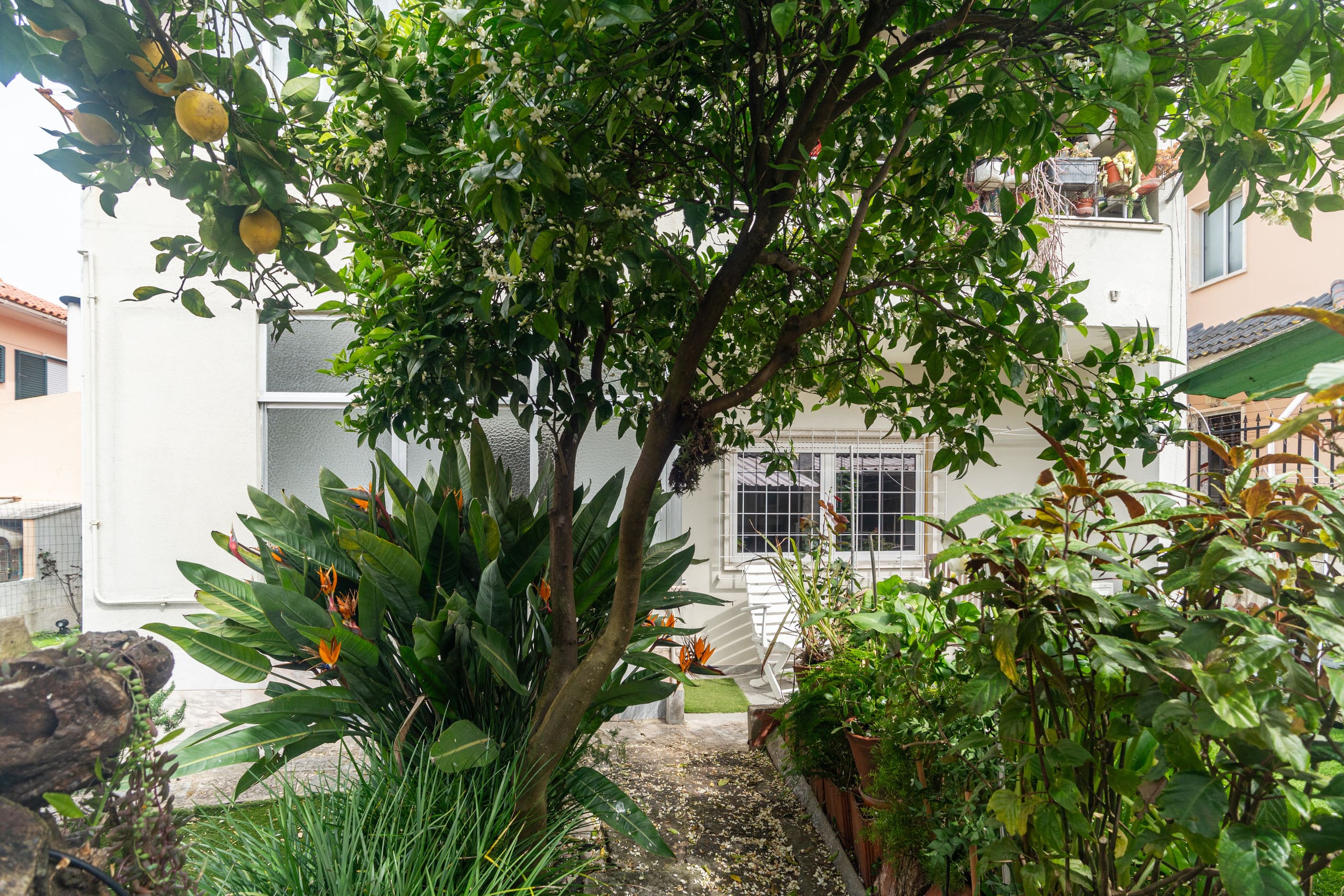 Sun House 12