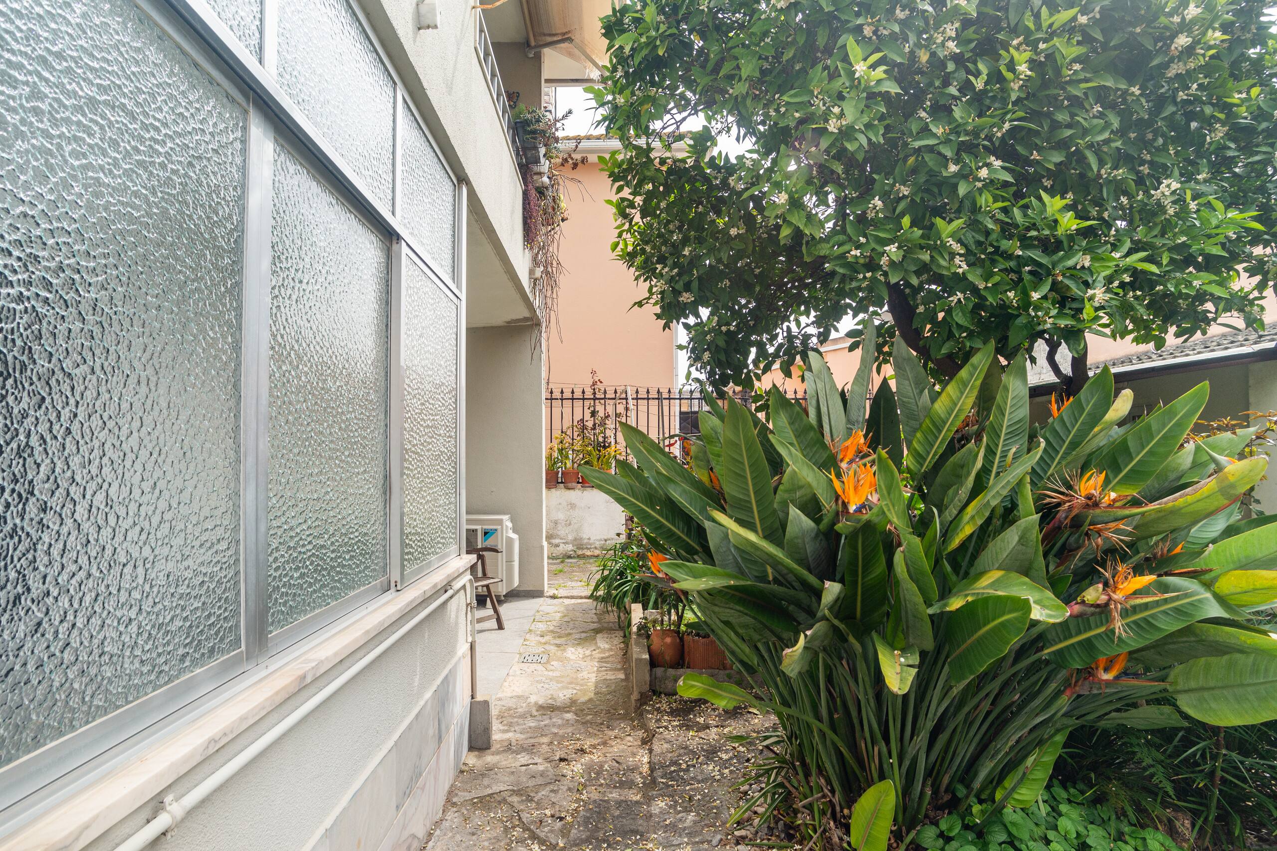 Sun House 11