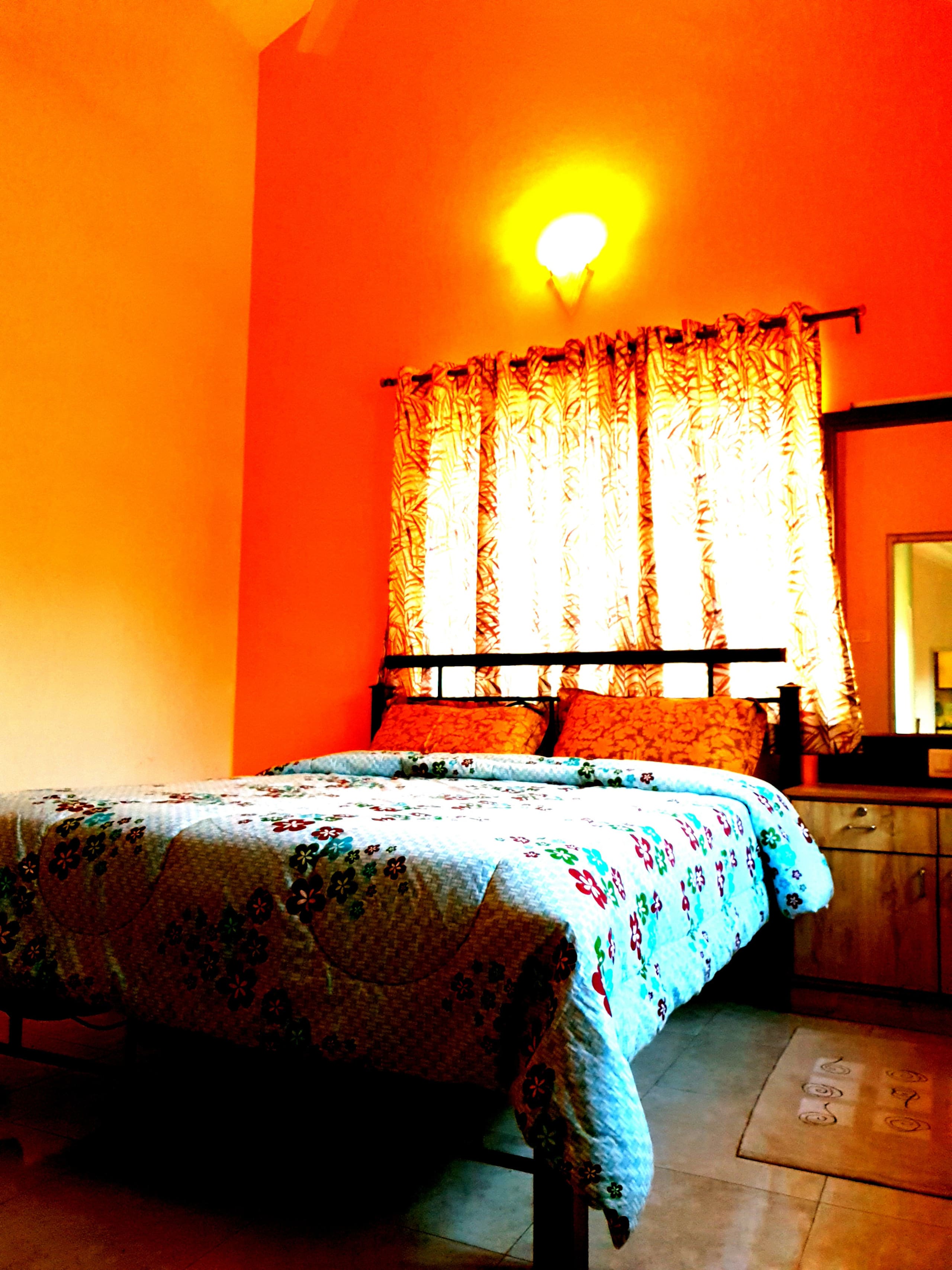 Pindari Palms 28