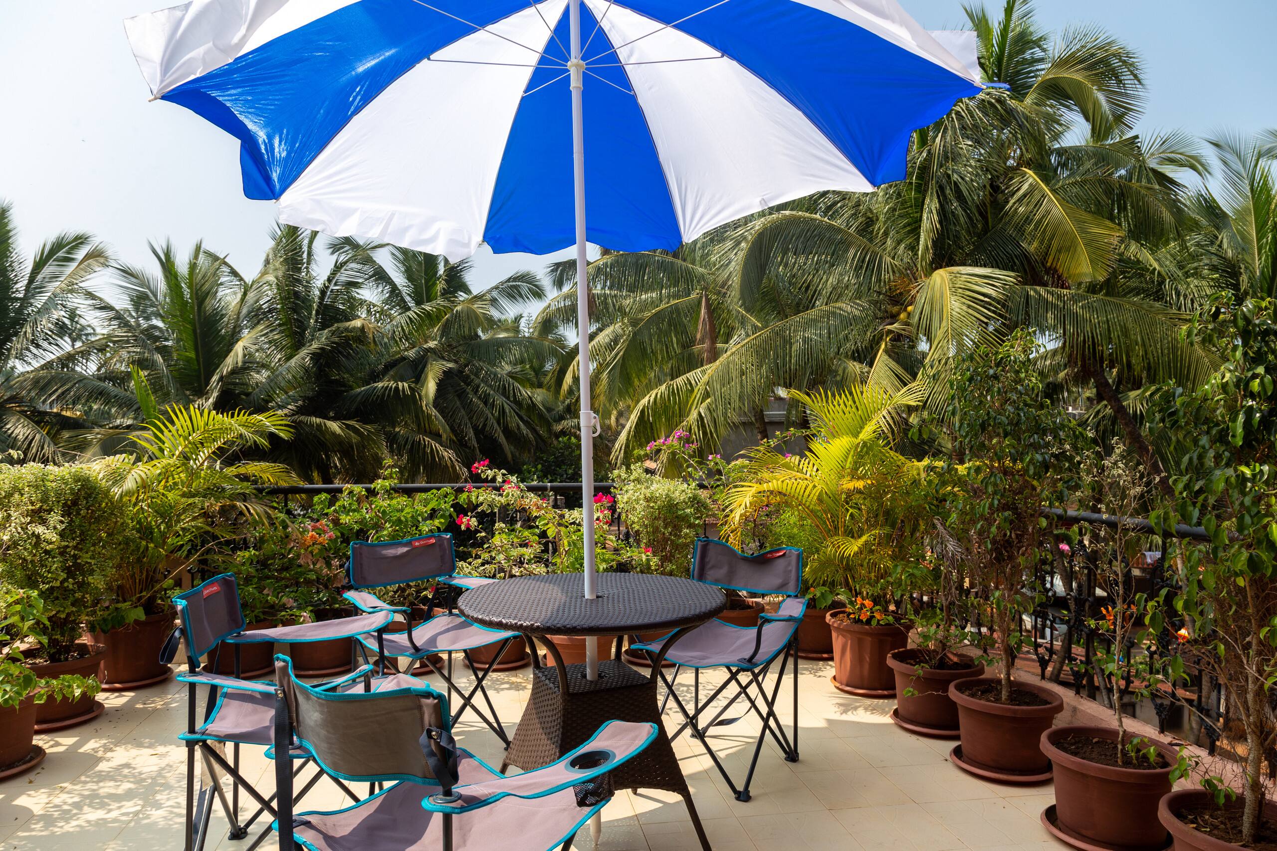 Pindari Palms 9