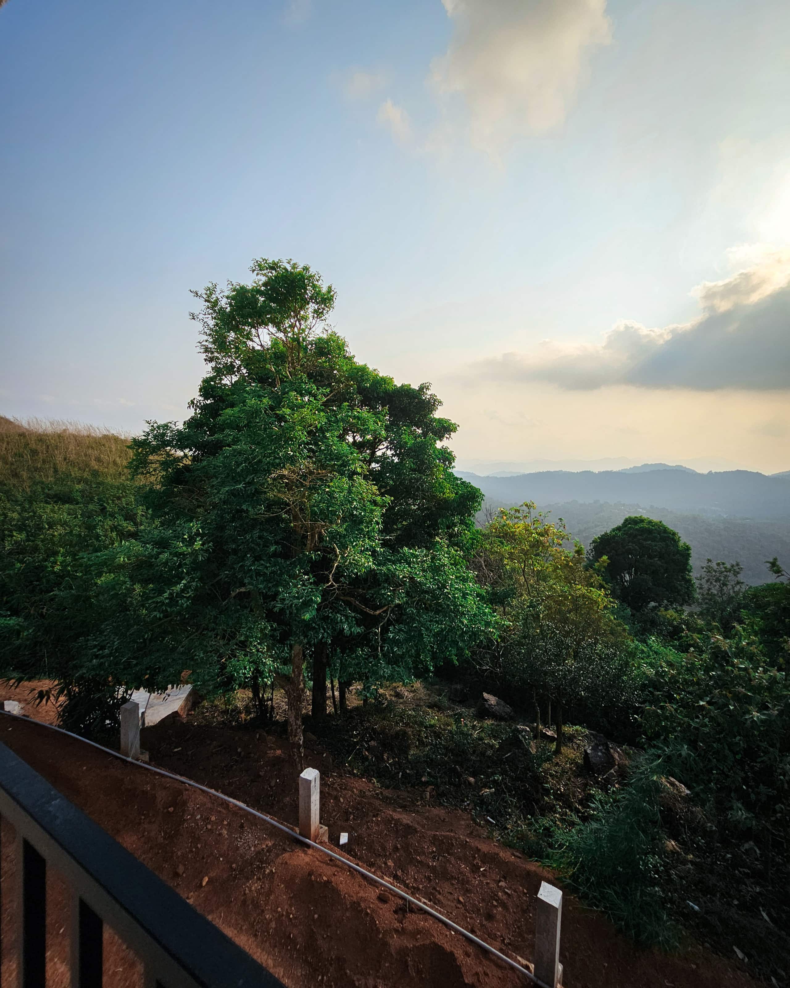 Fernglade Estate in Wayanad 25
