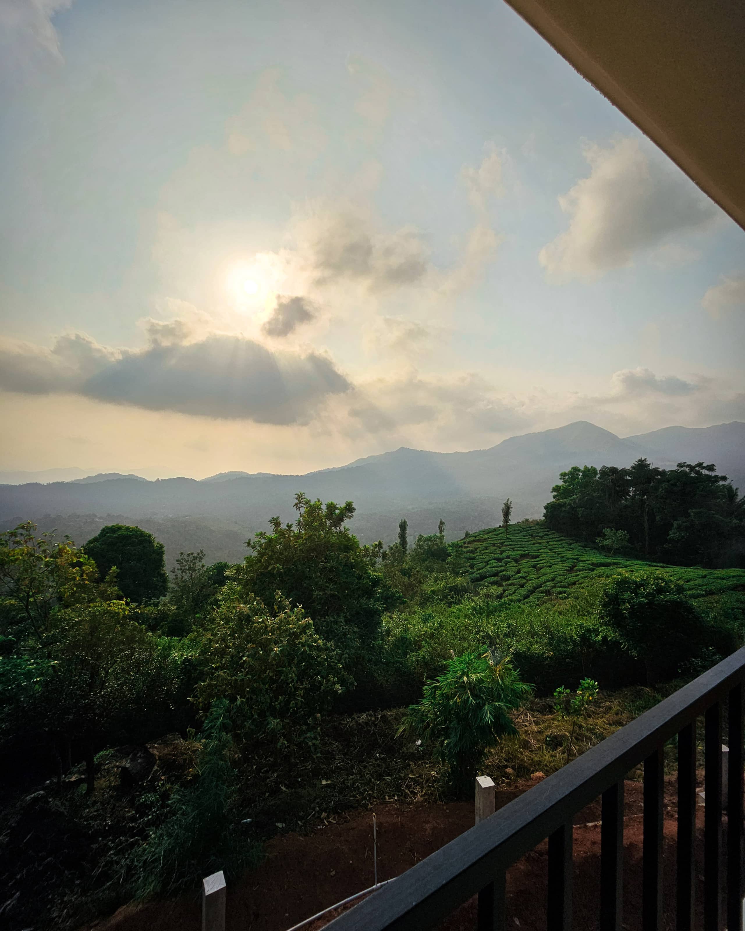 Fernglade Estate in Wayanad 26