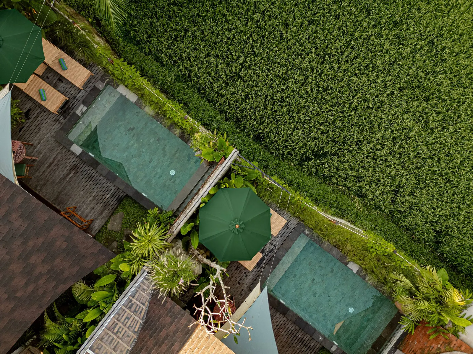 1BR Villa in Hidden Peaceful Paradise 9