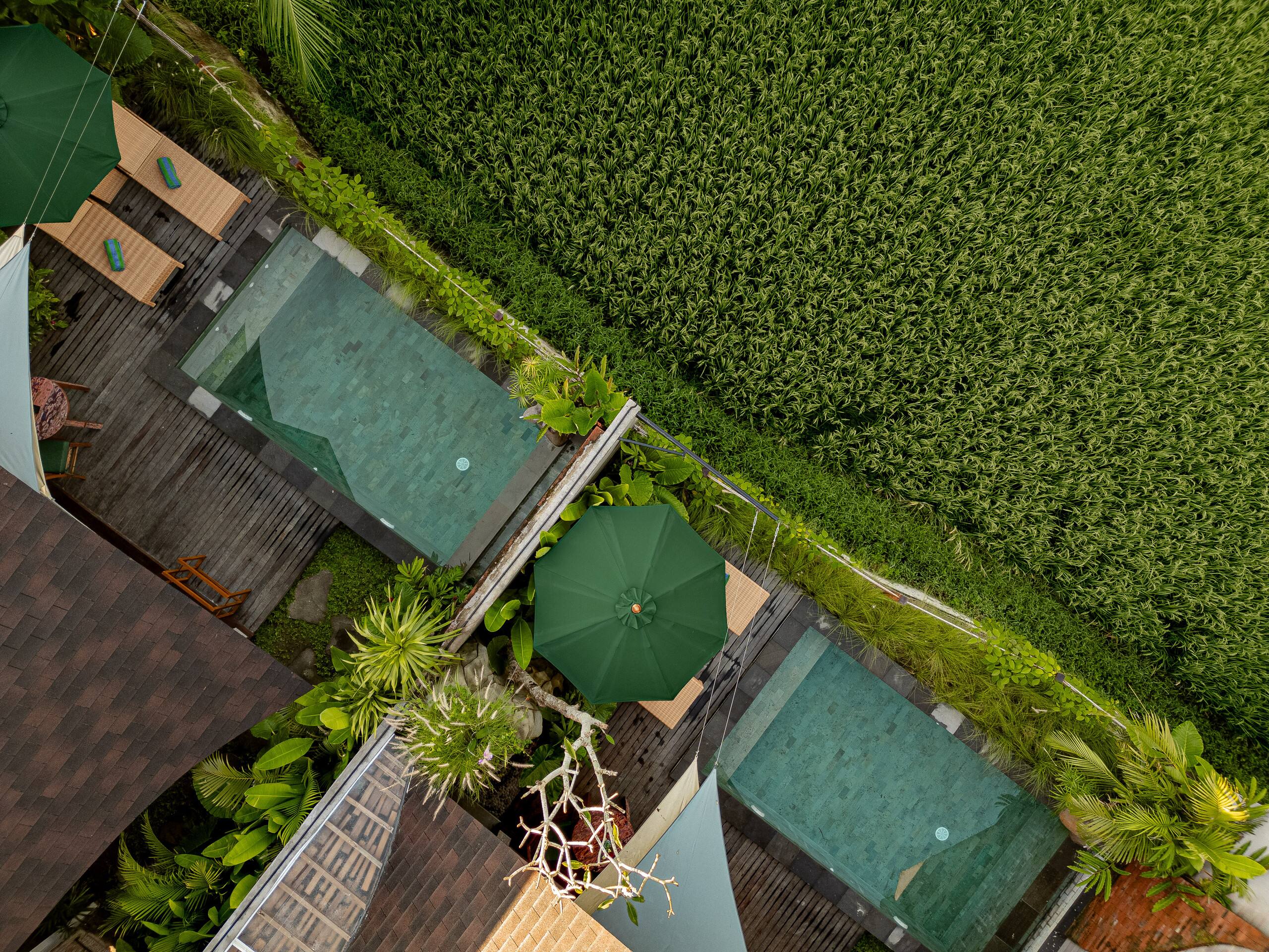 1BR Villa in Hidden Peaceful Paradise 9