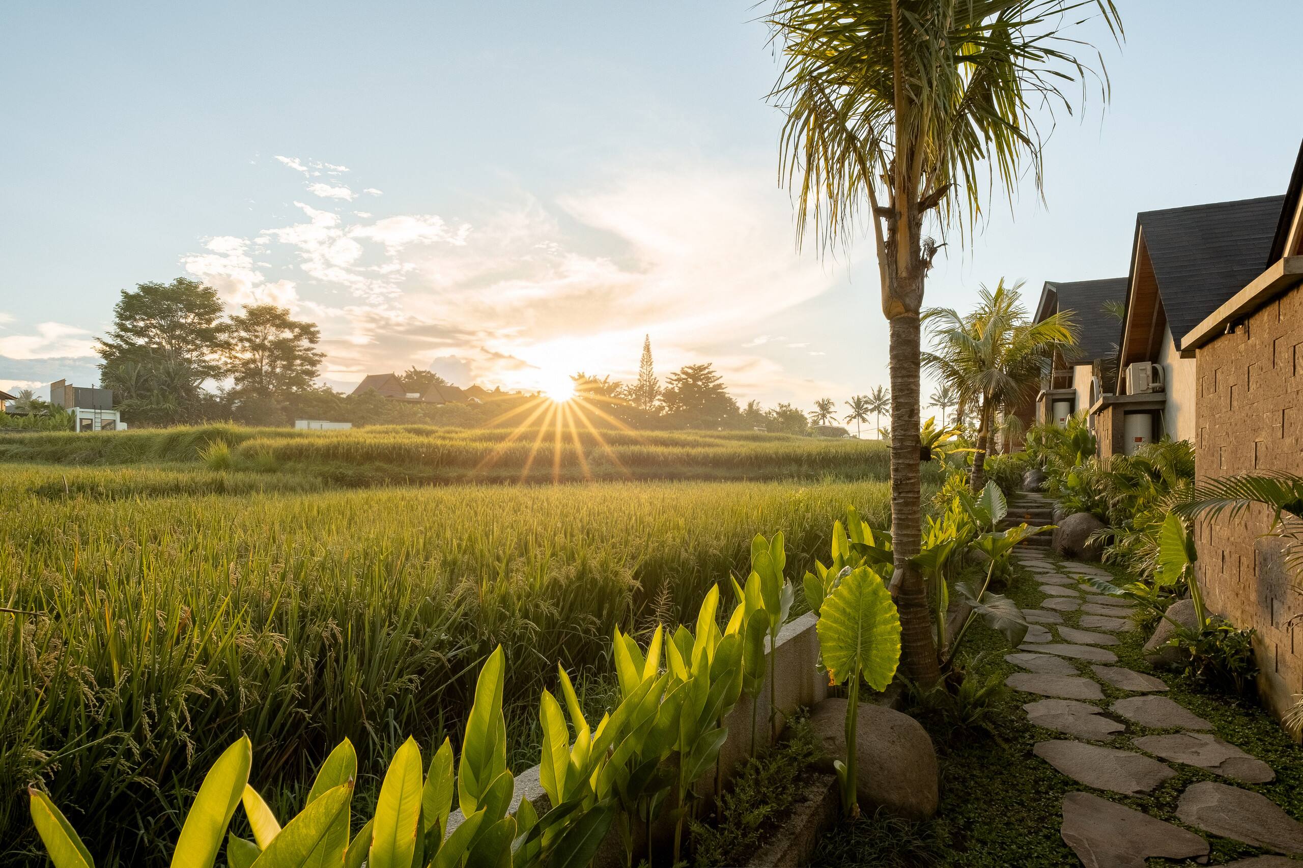 1BR Villa in Hidden Peaceful Paradise 15