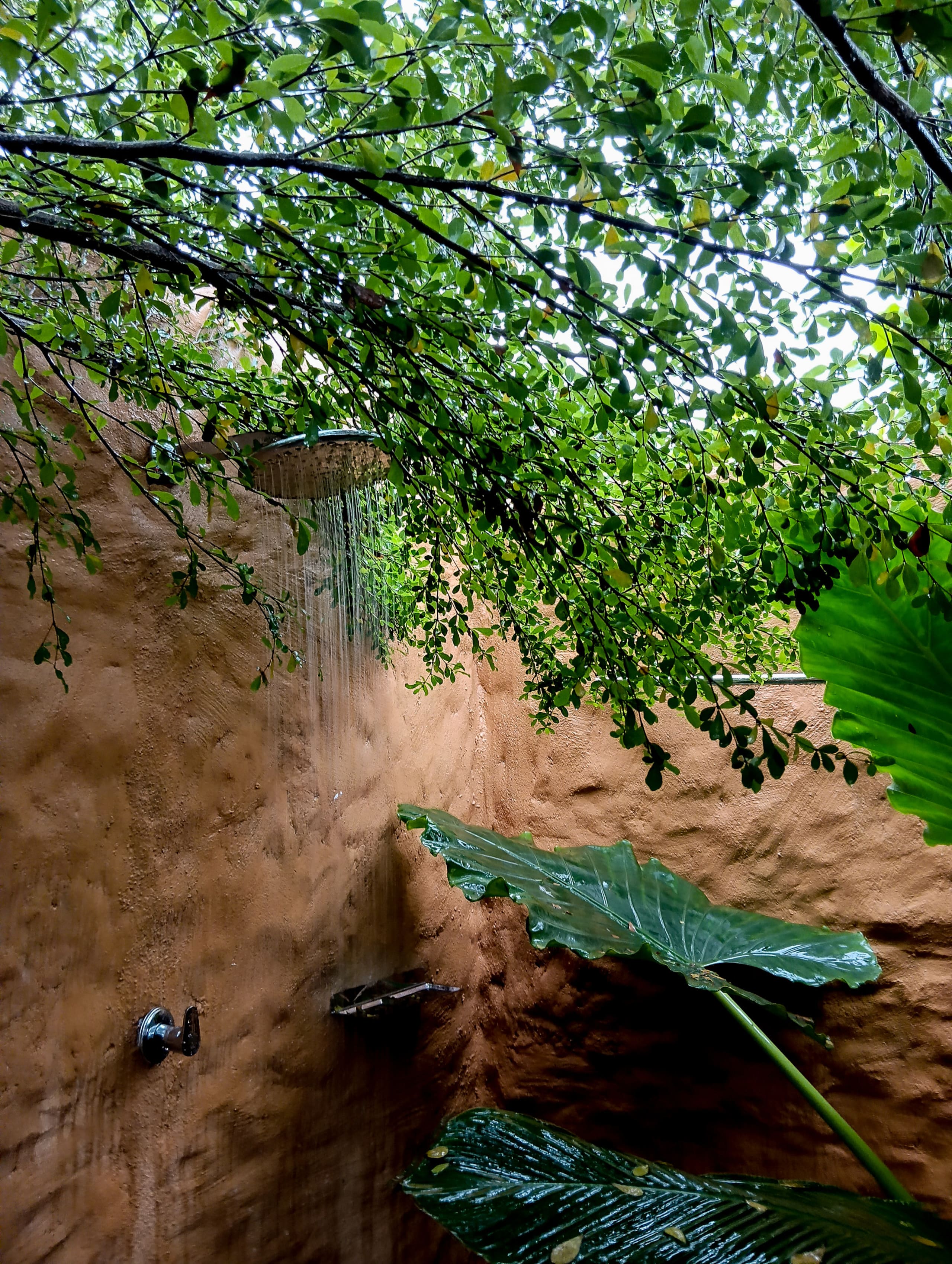 Tiny Lake House at Native Retreats, Varkala 14